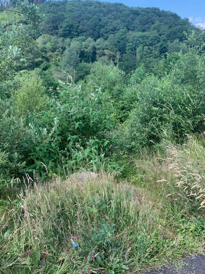 Lot Image