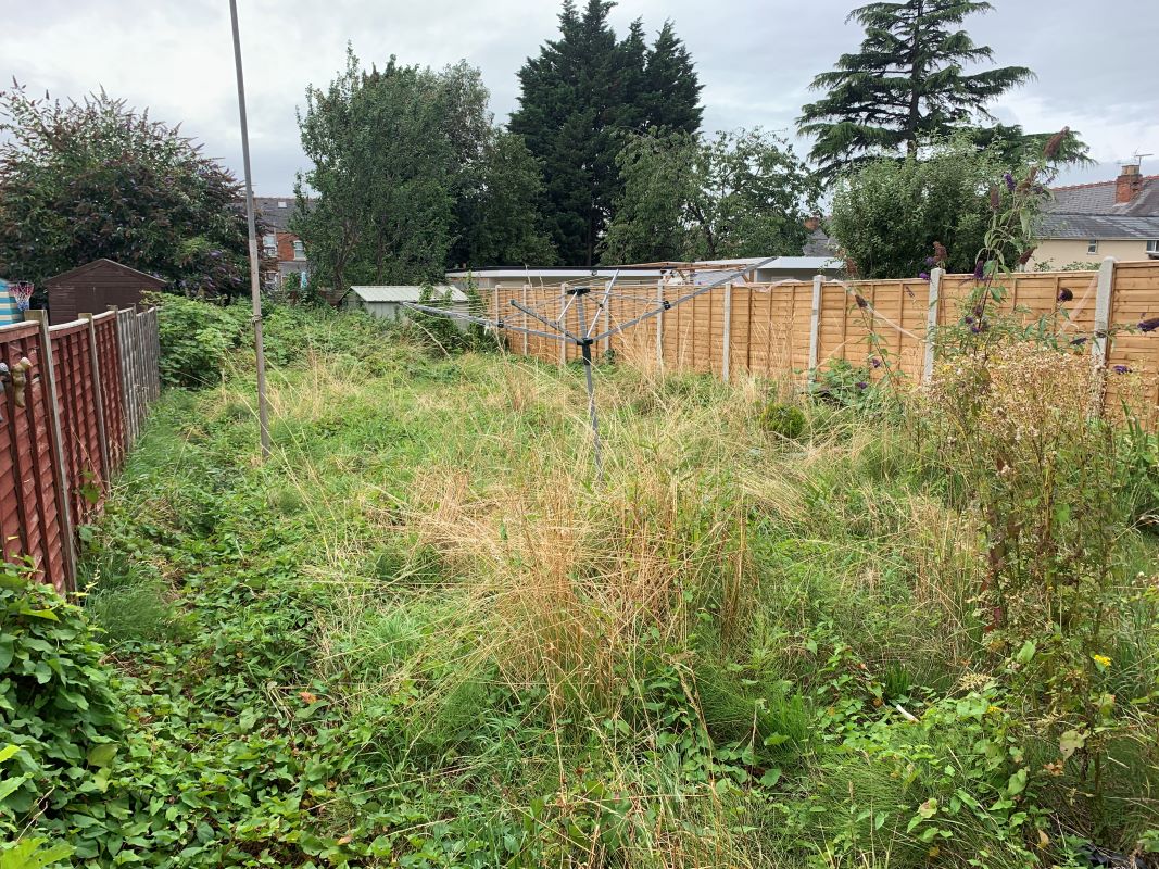 Lot Image