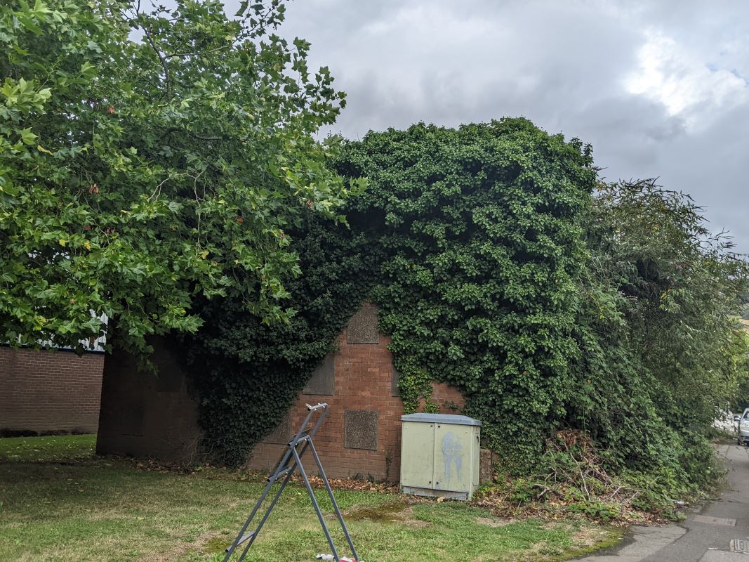 Lot Image