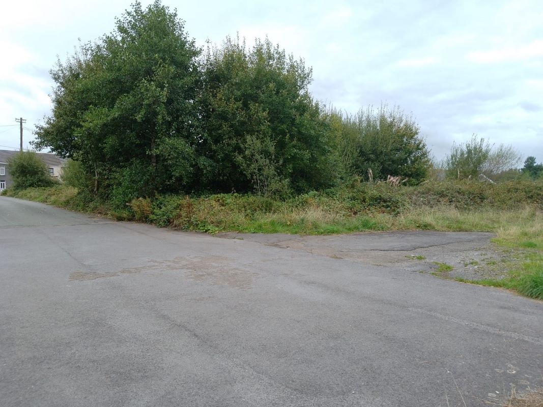 Lot Image