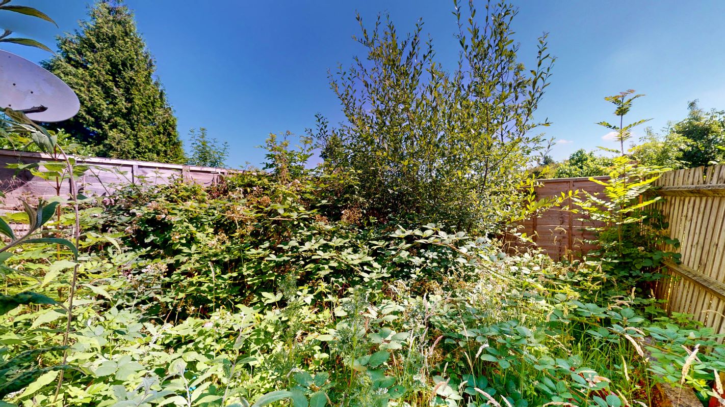 Image 12 of 12