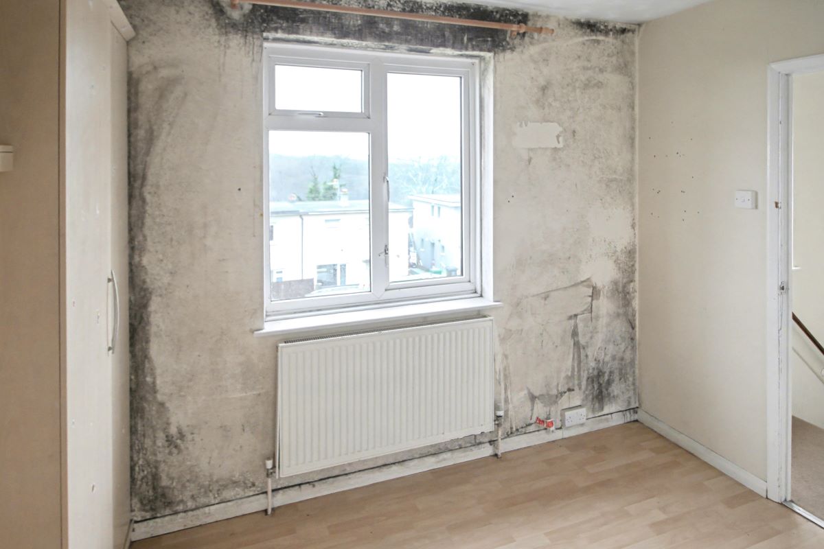 24 Staplefield Drive, Brighton, BN2 4RL