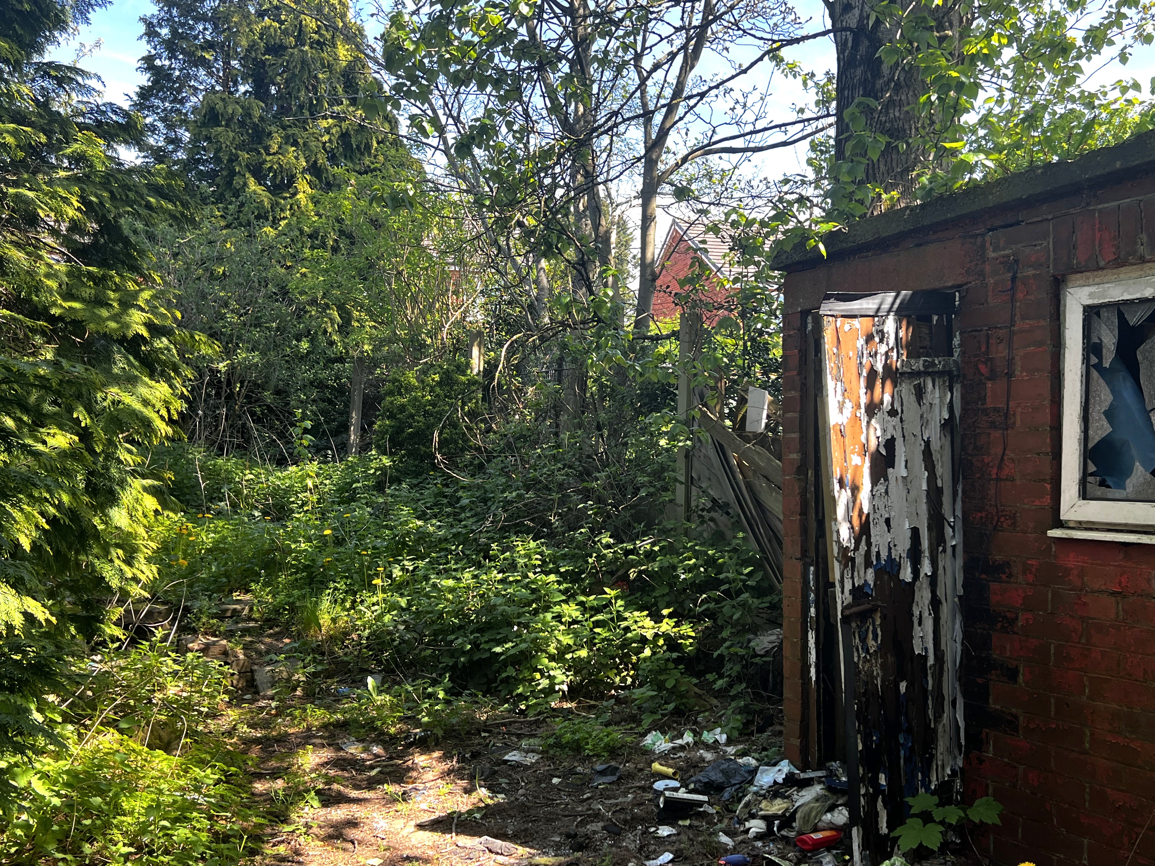 Image 11 of 14