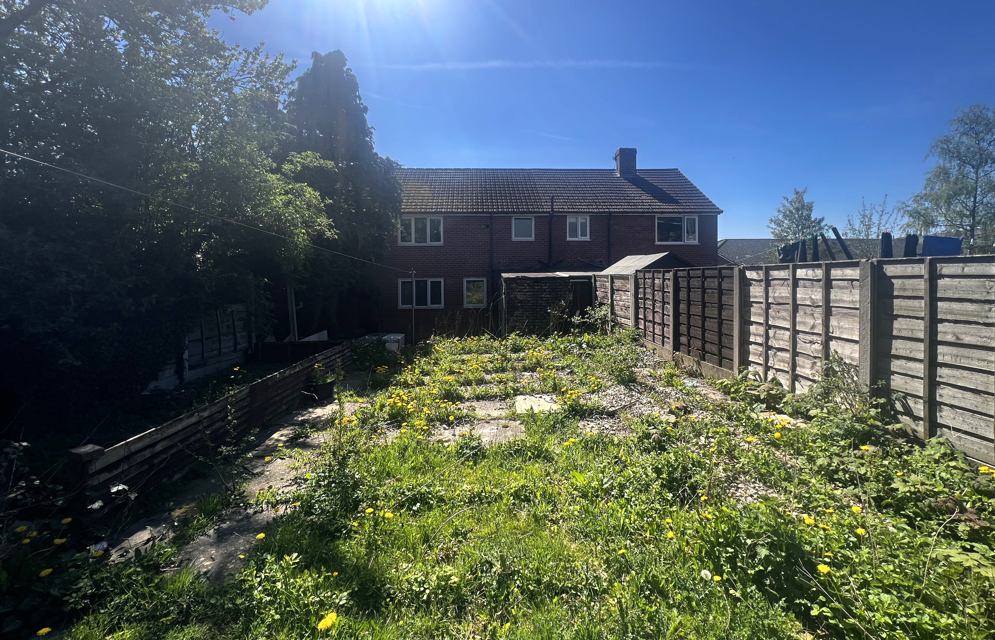 Image 12 of 14