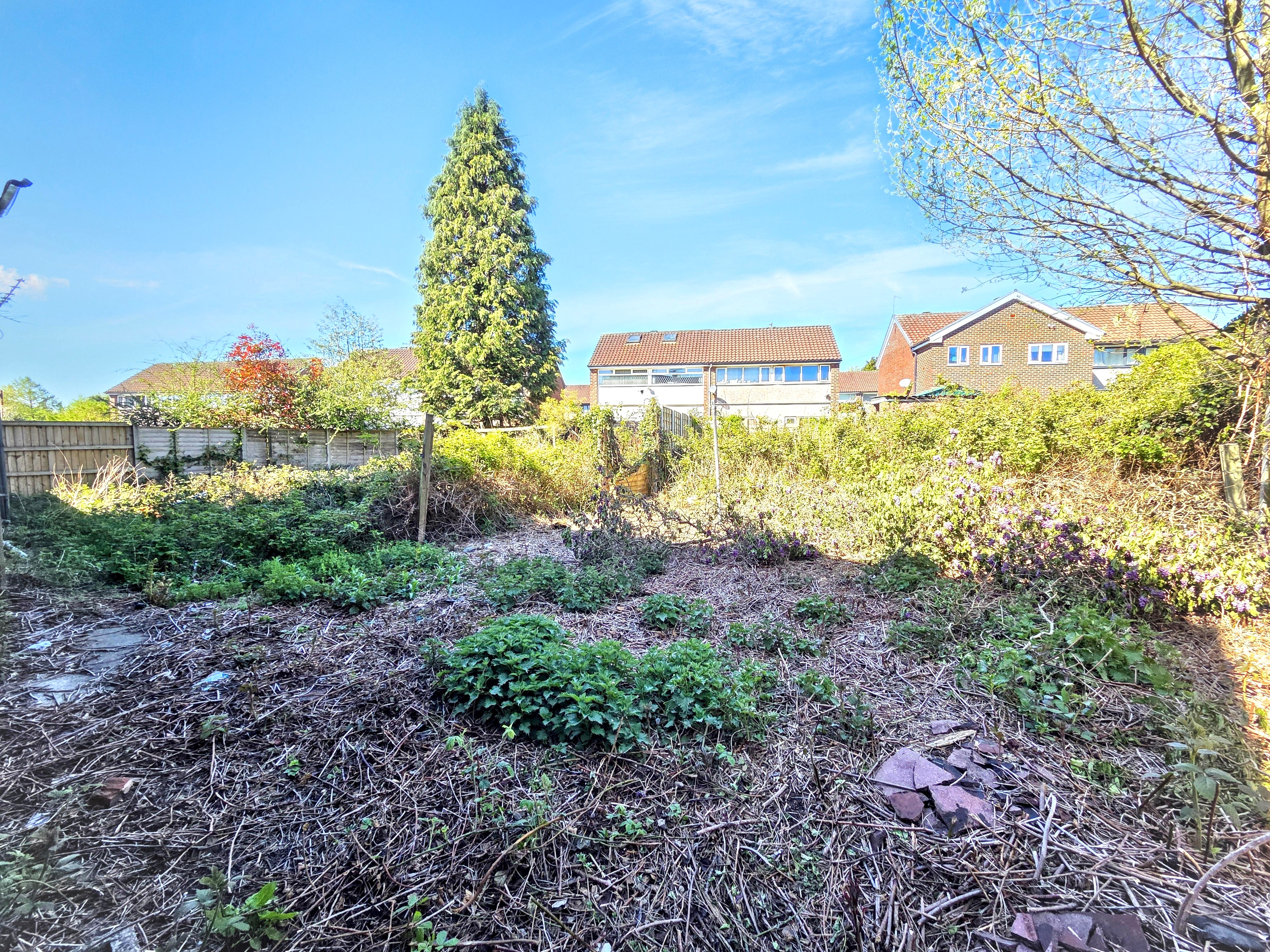 Image 16 of 18