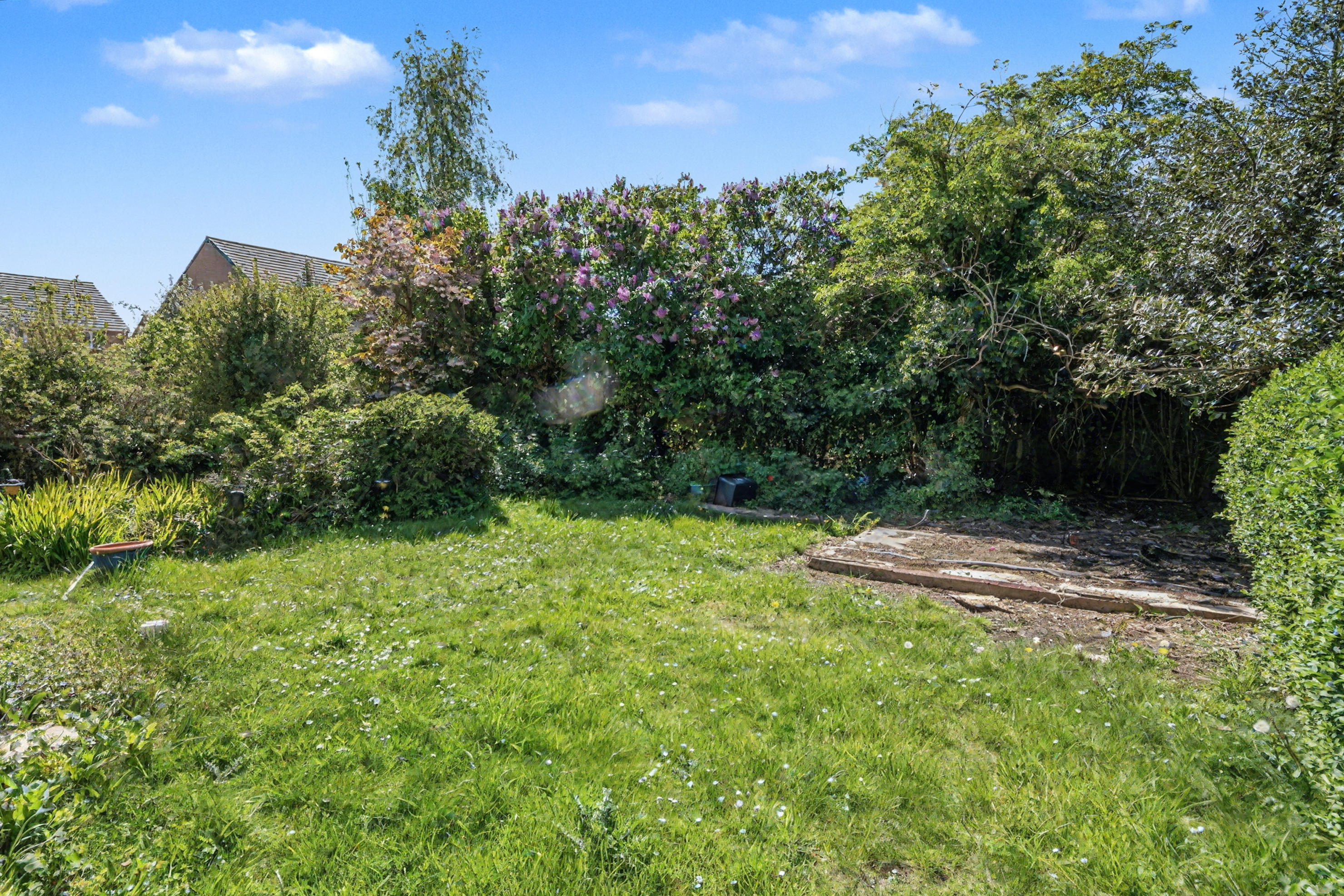Image 16 of 19