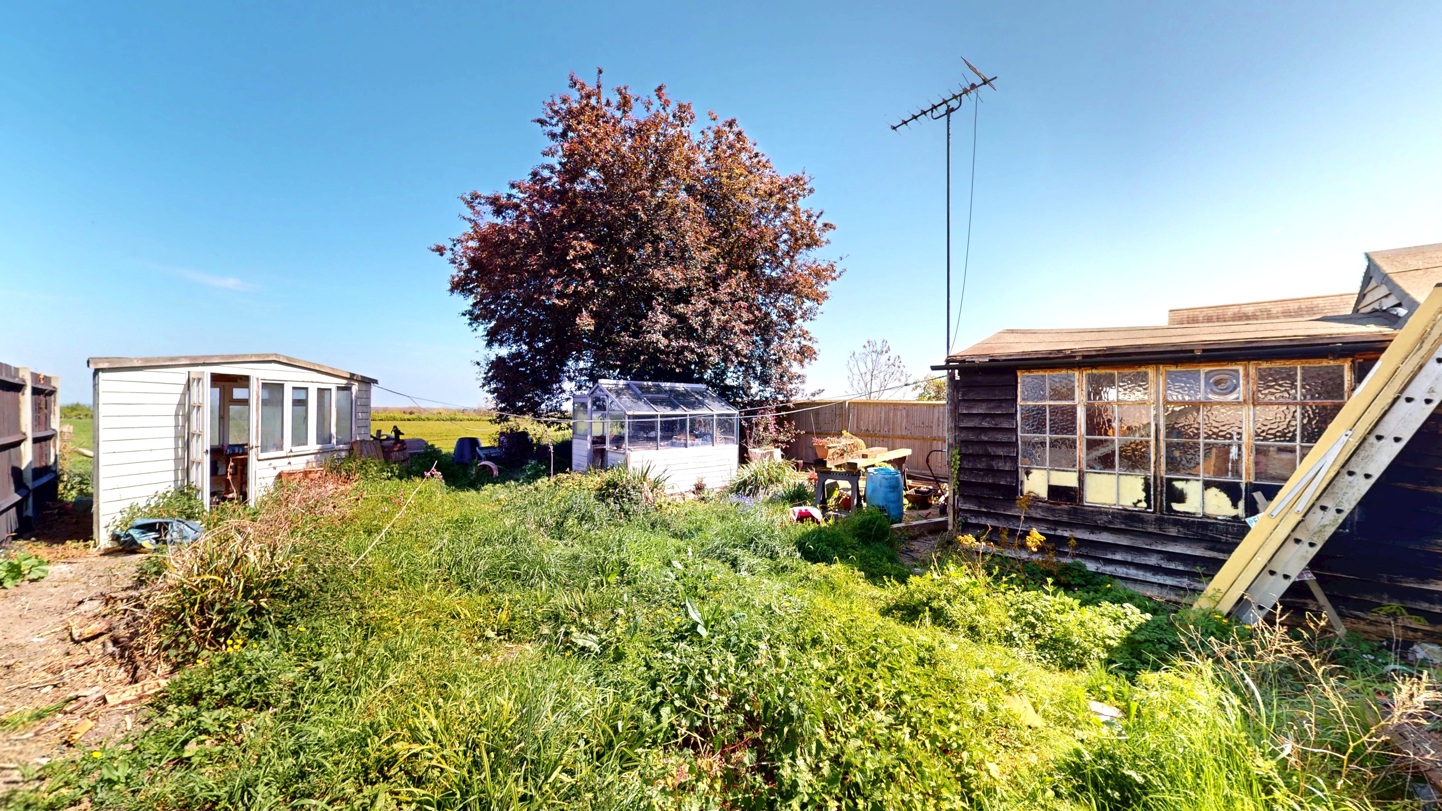 Image 12 of 14