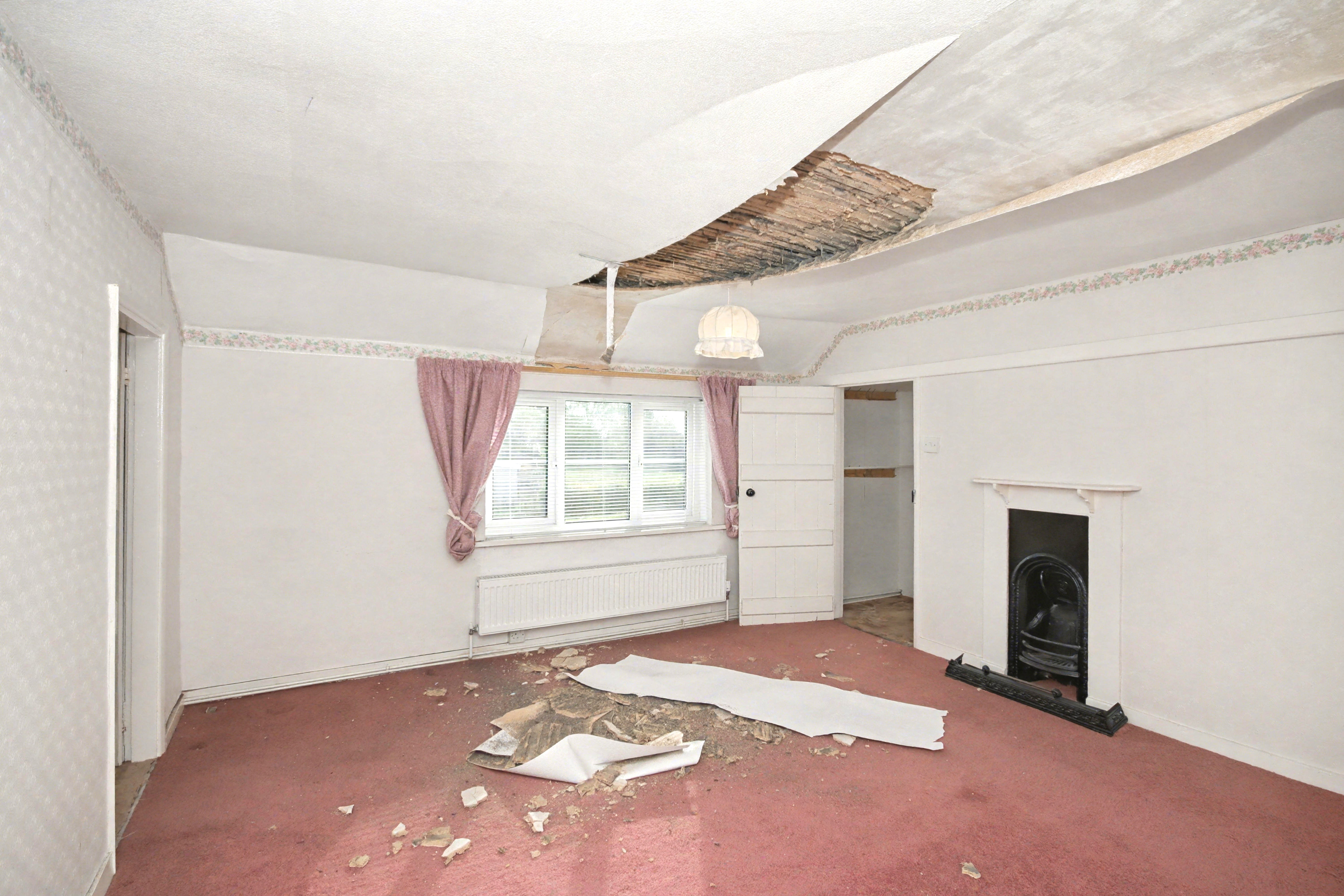 Image 14 of 28