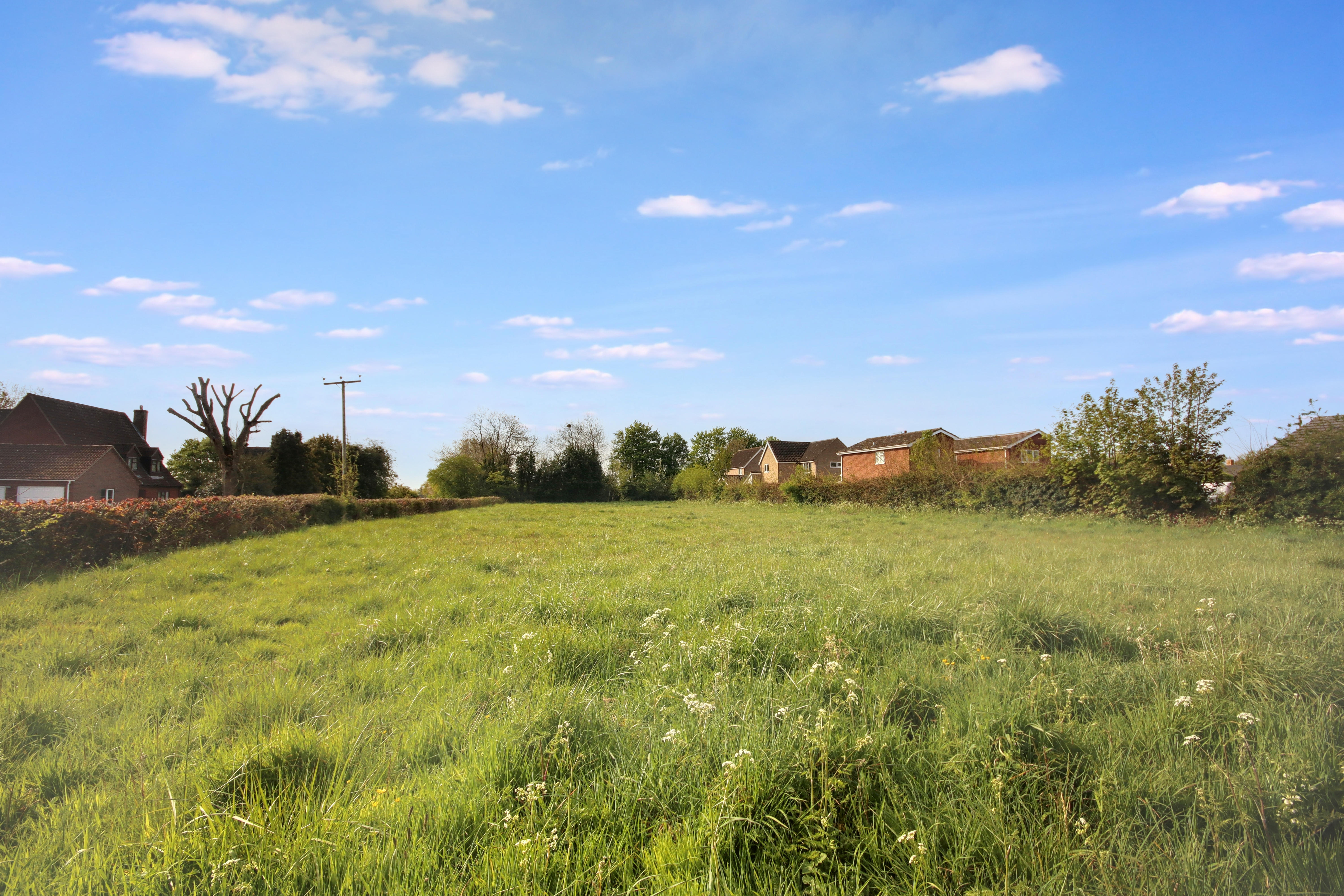 Image 24 of 28