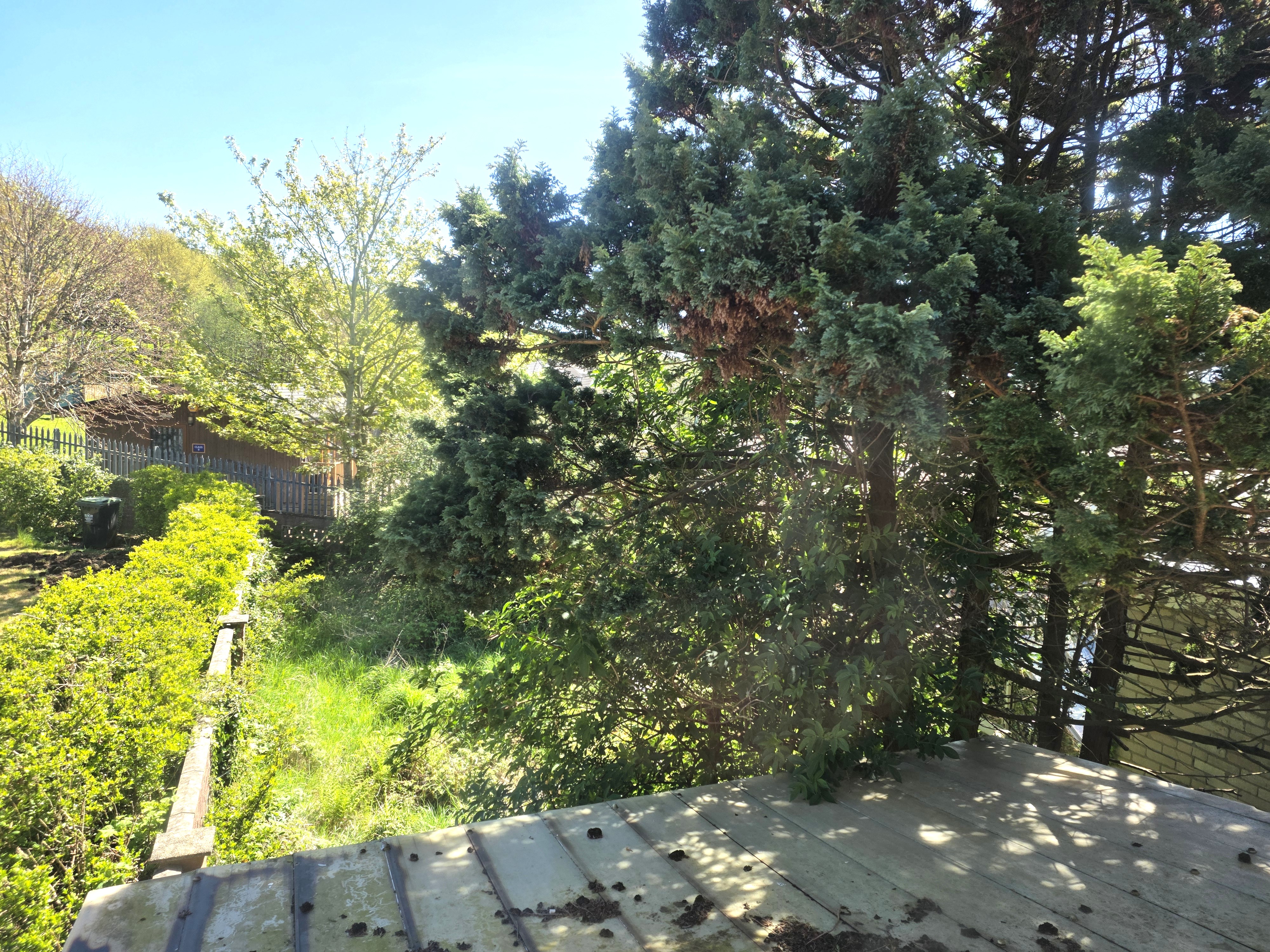 Image 8 of 8
