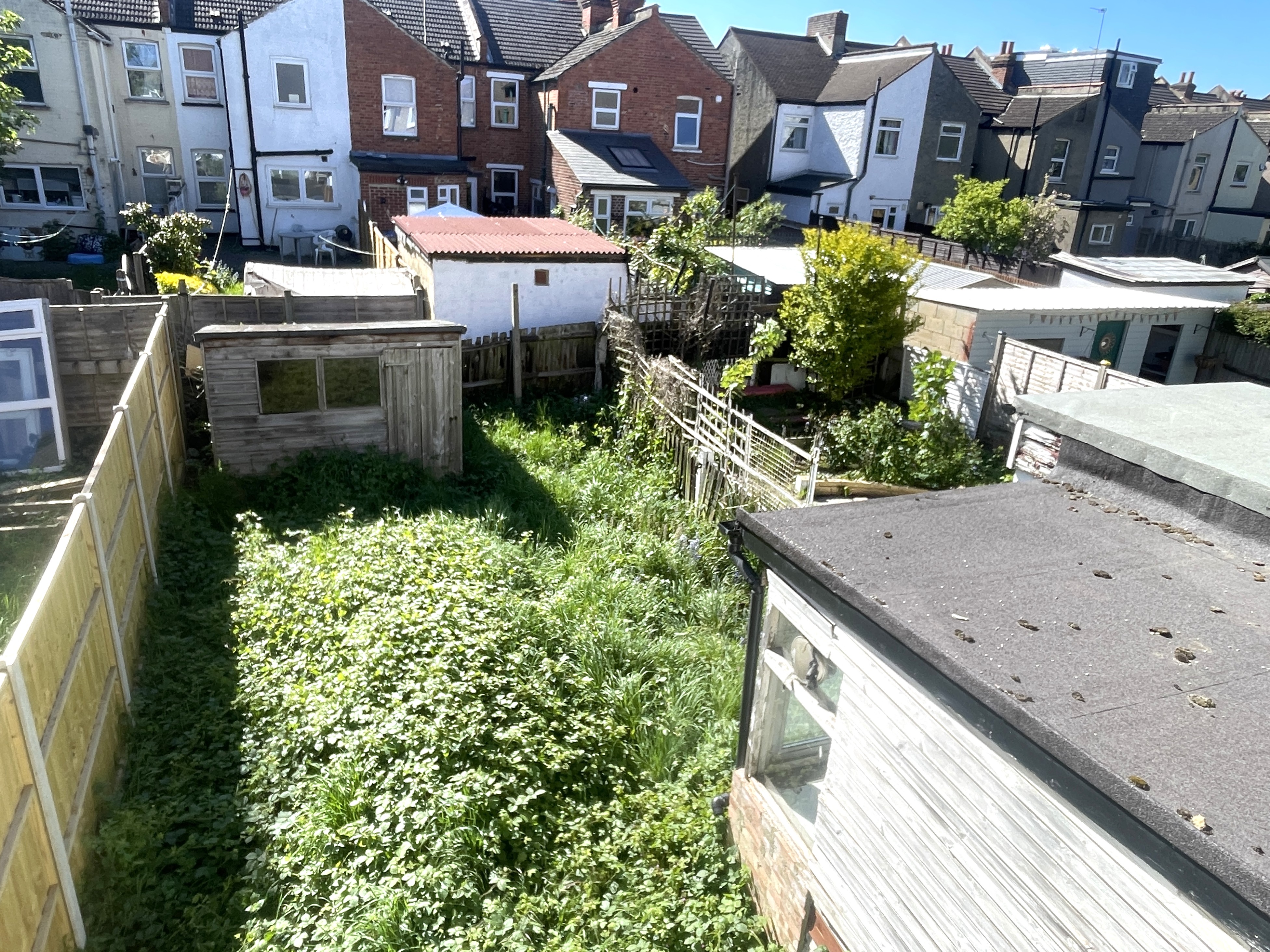 Image 13 of 13