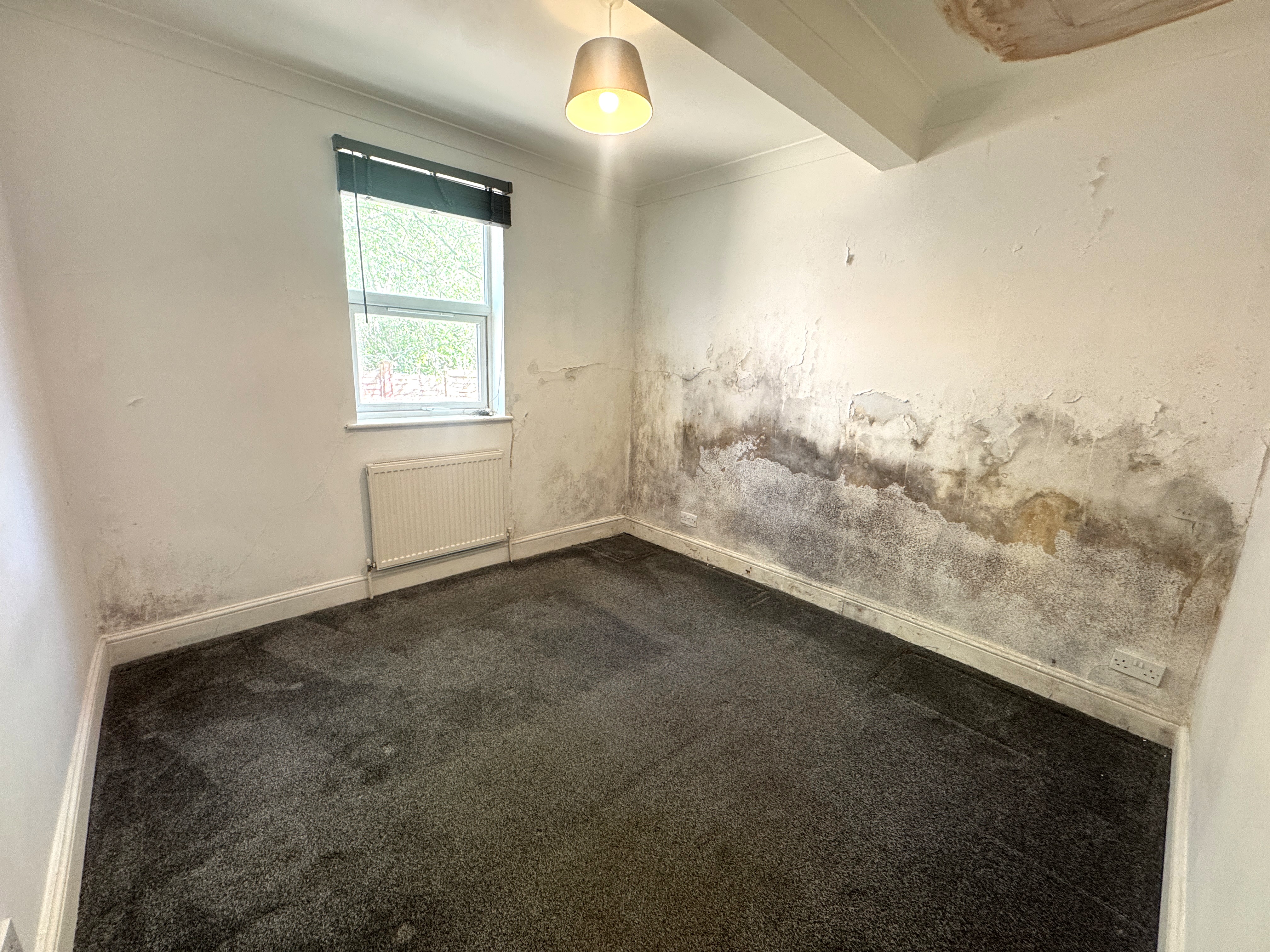 Image 10 of 39