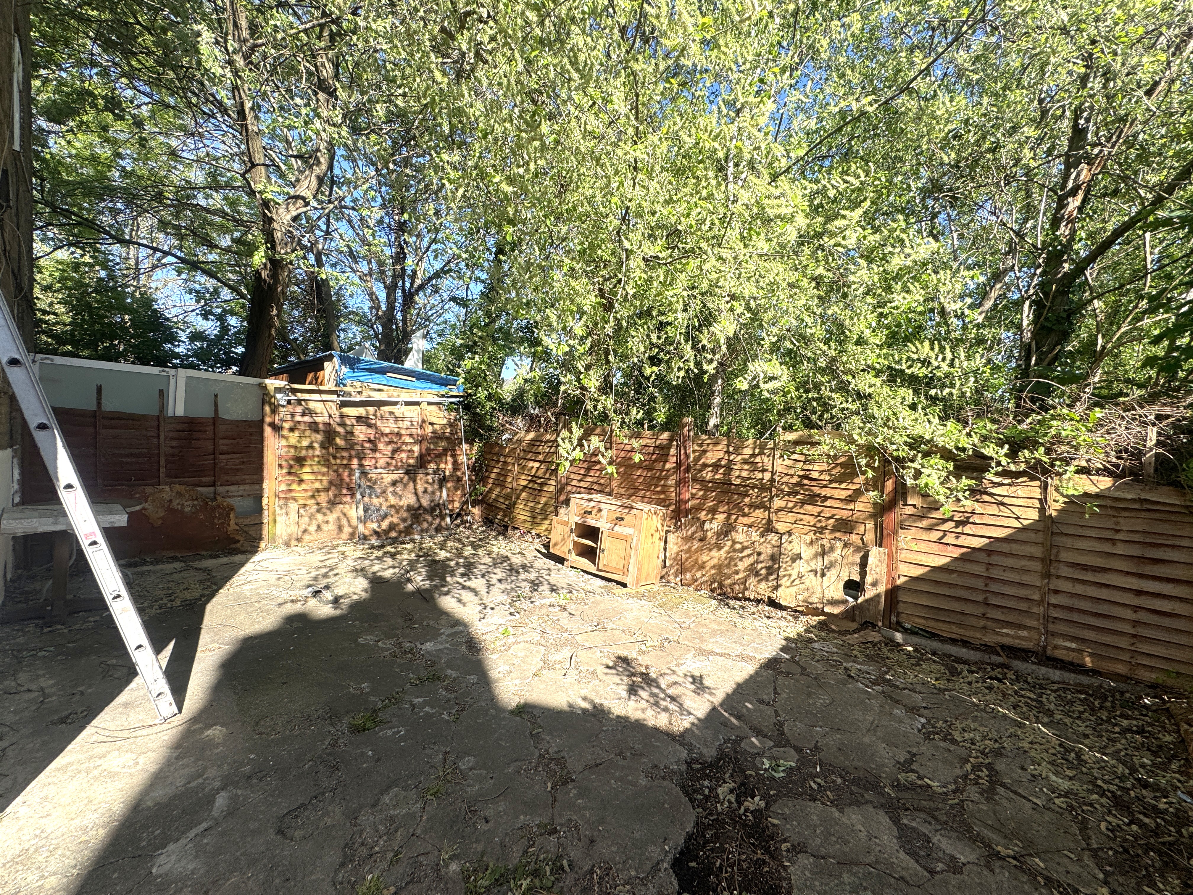 Image 14 of 39