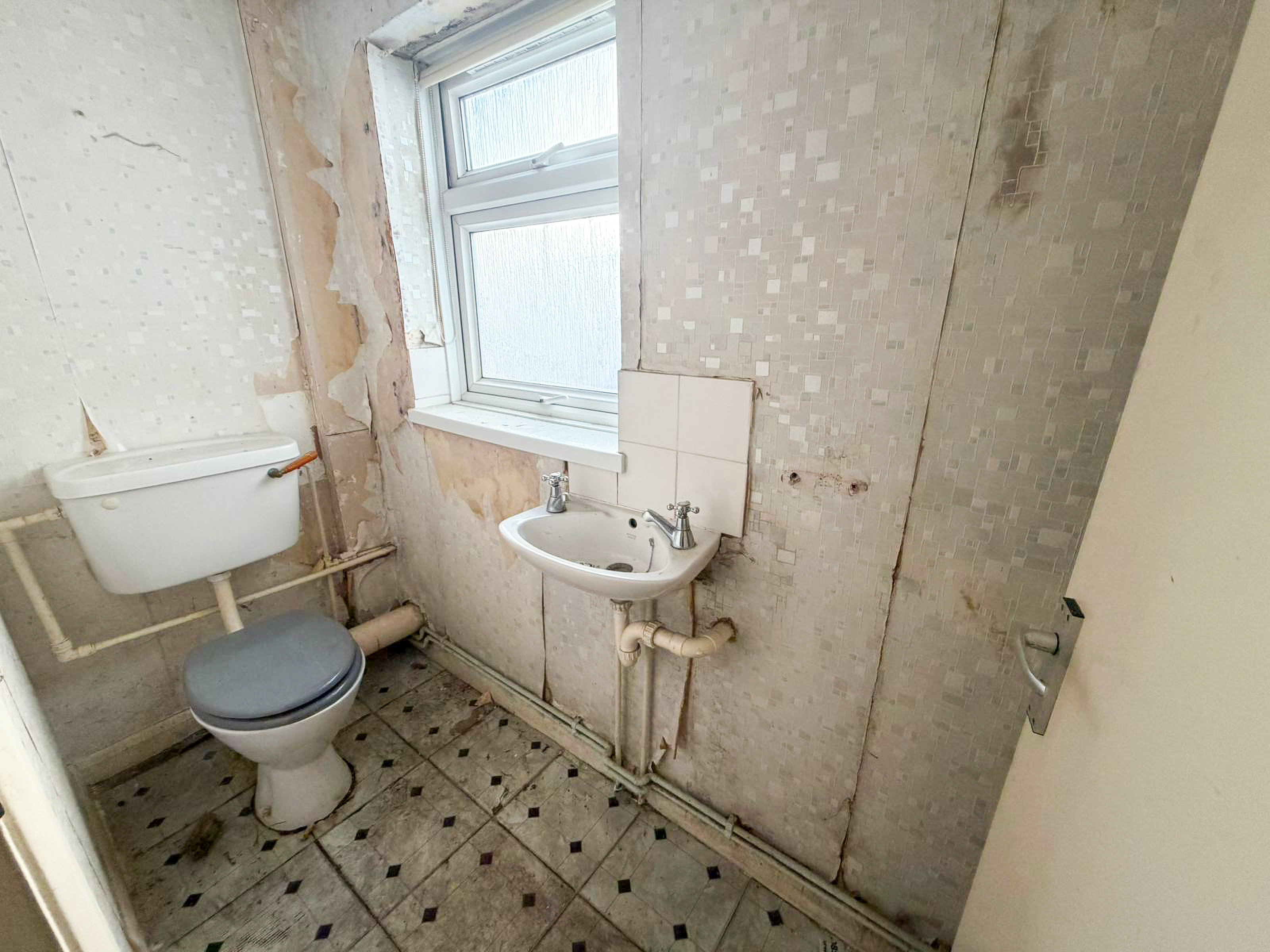 Image 10 of 12