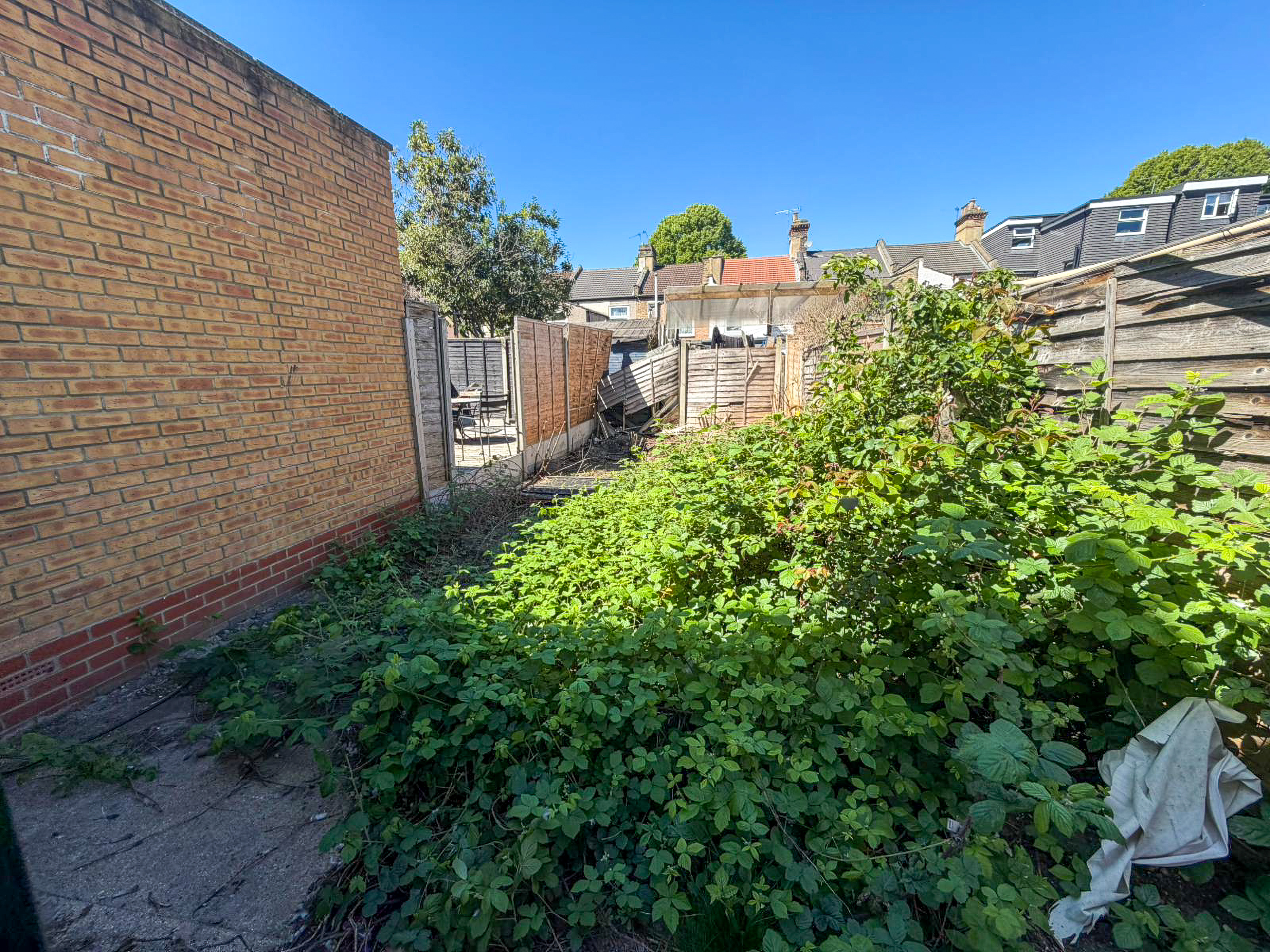 Image 11 of 12