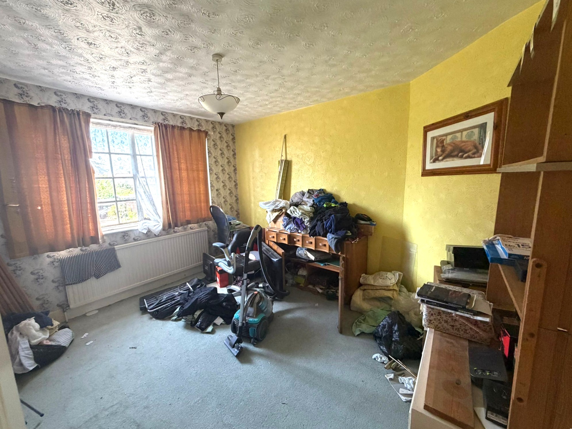 Image 6 of 15