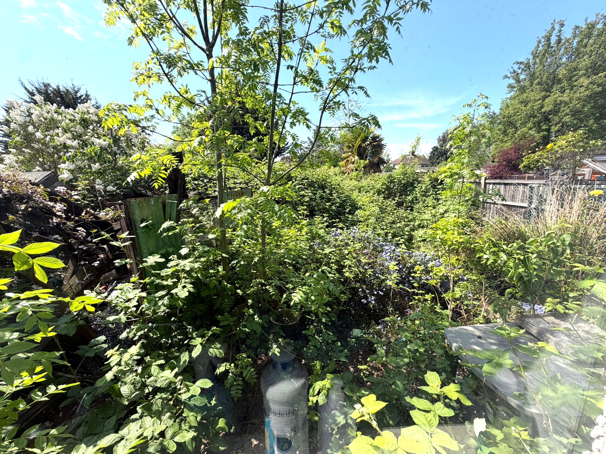 Image 13 of 15
