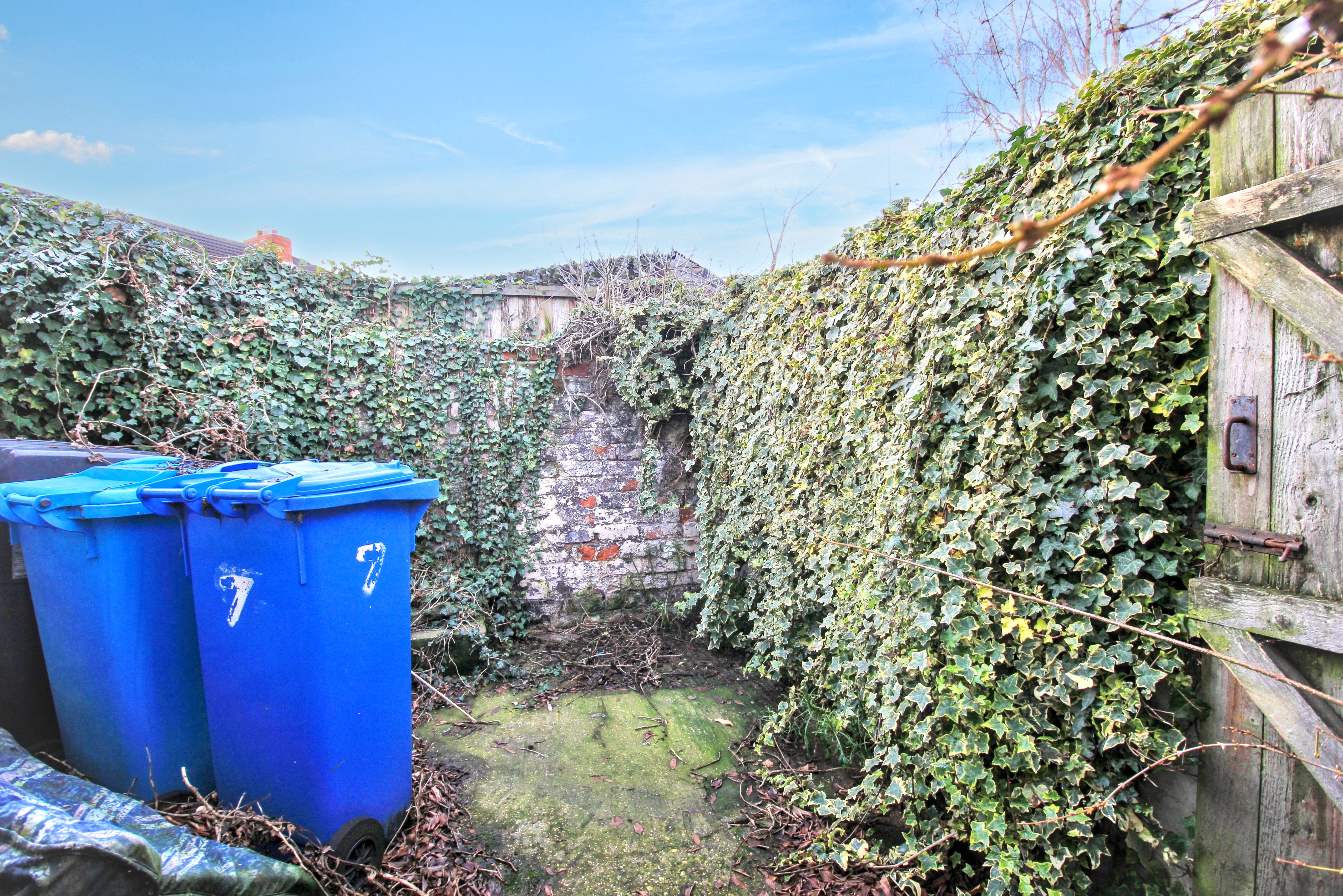 Image 15 of 17