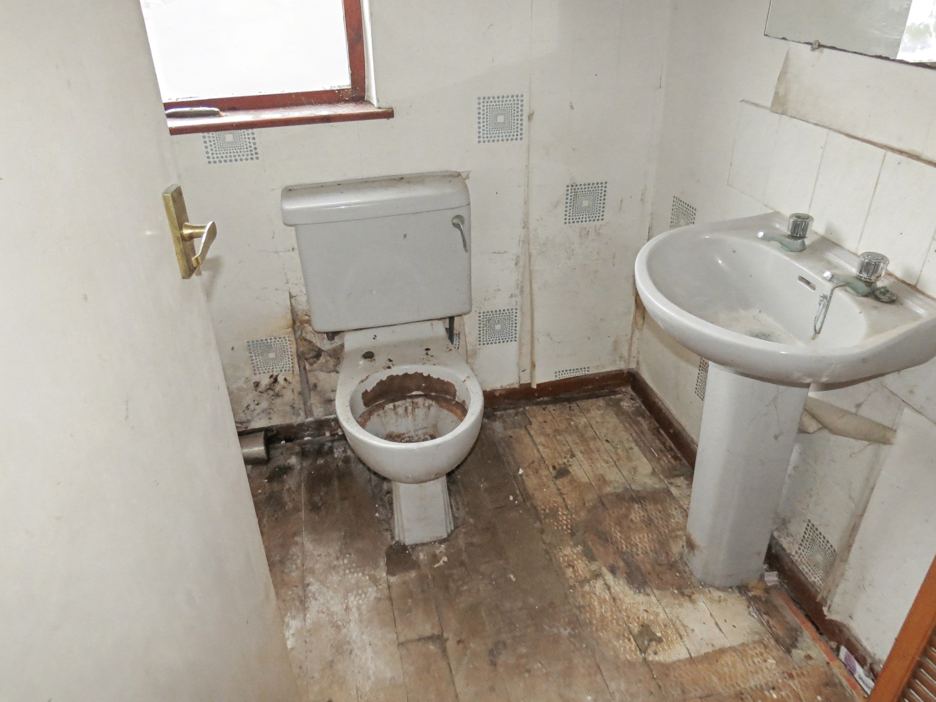 Image 16 of 17