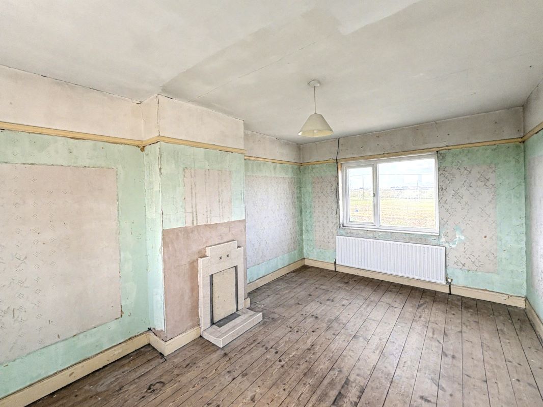 Image 8 of 18