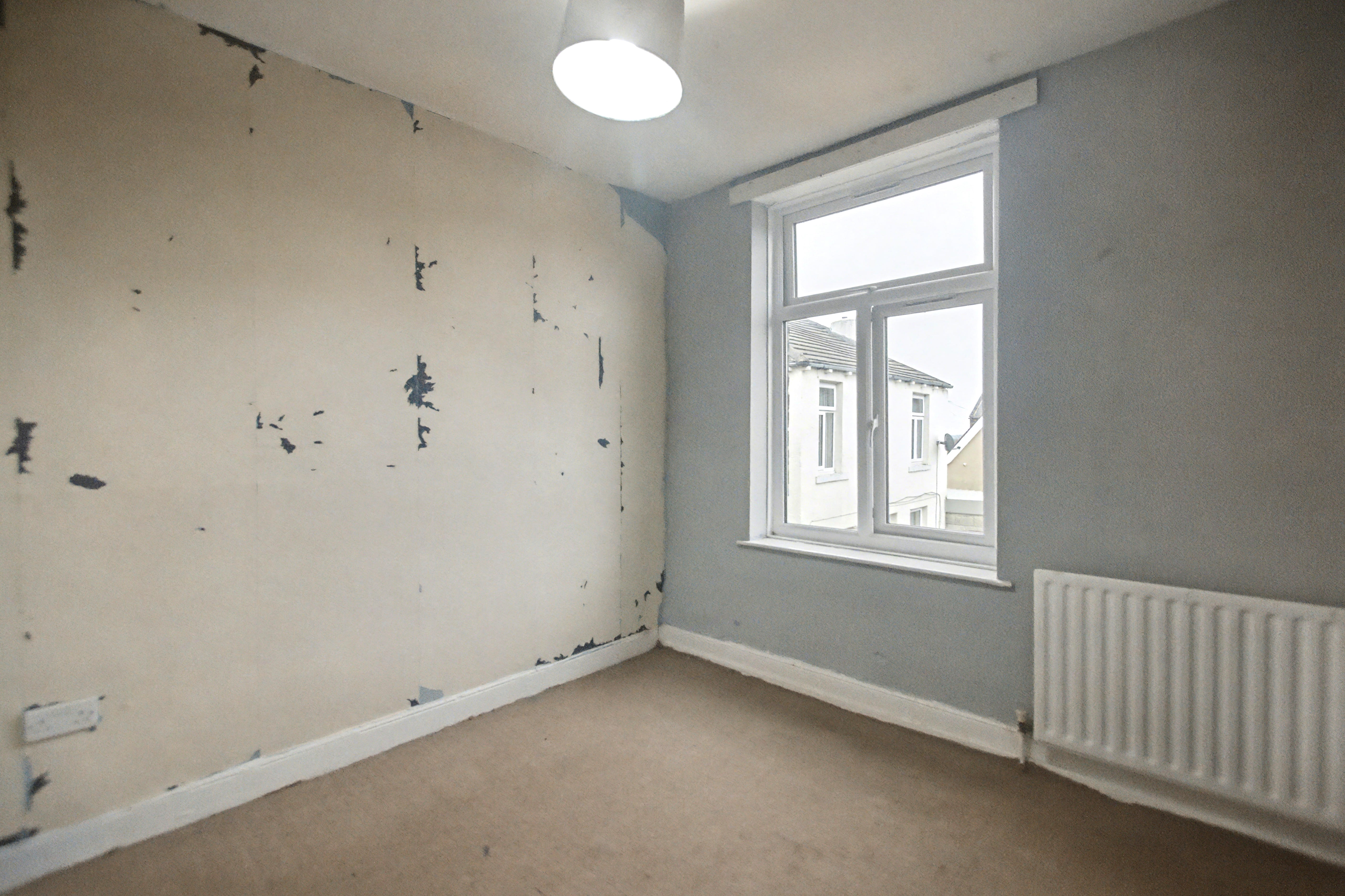Image 7 of 14
