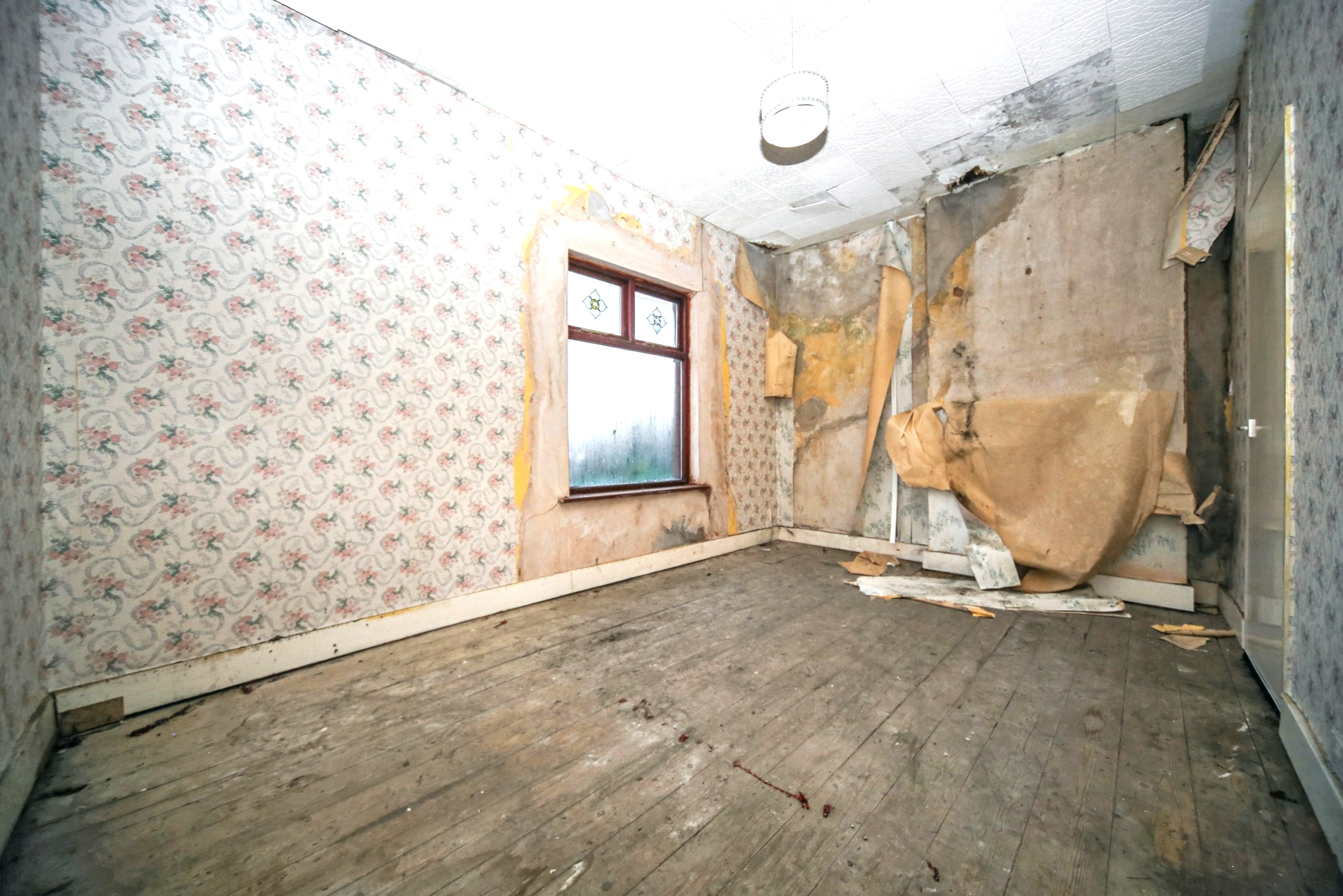 Image 6 of 11
