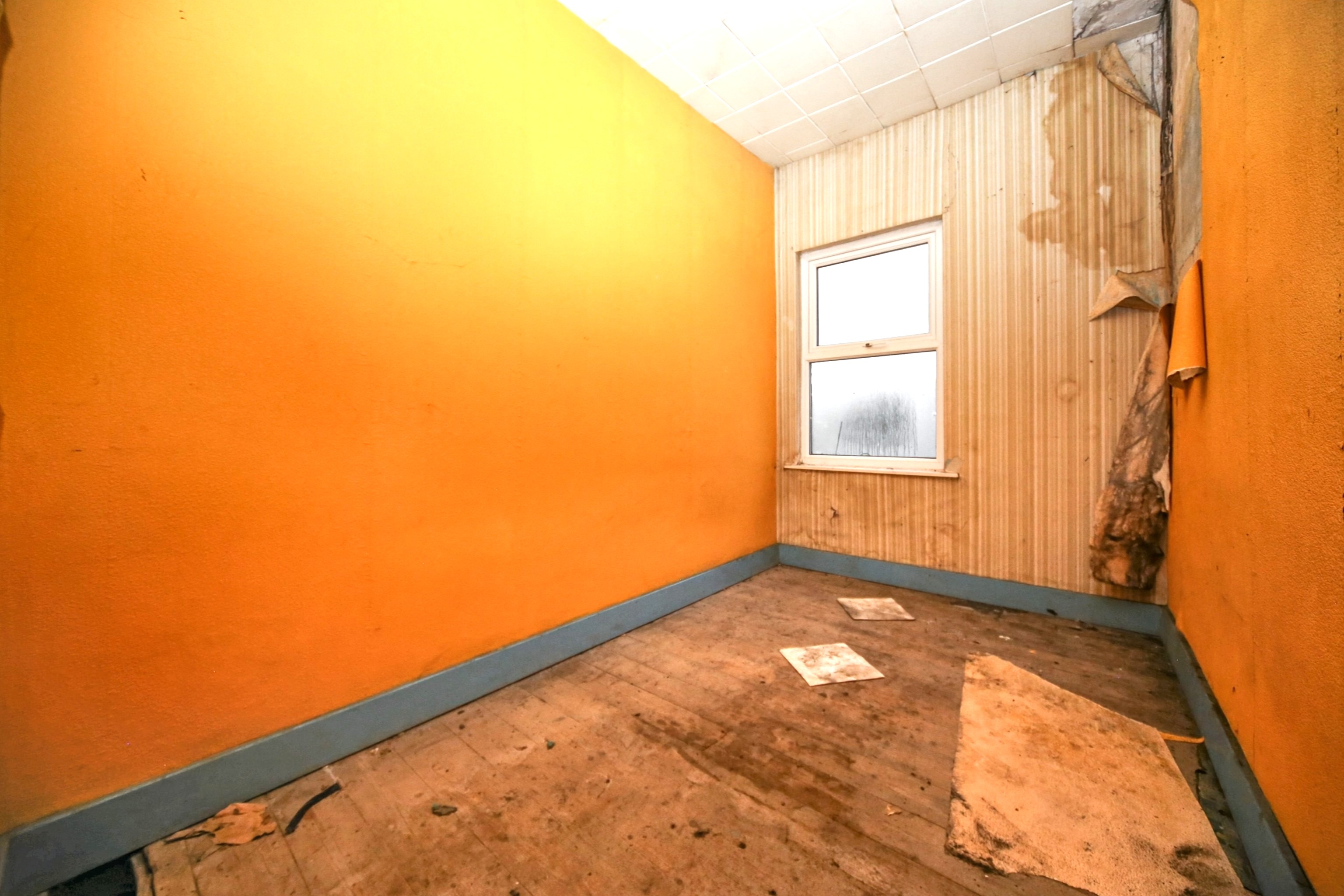 Image 7 of 11