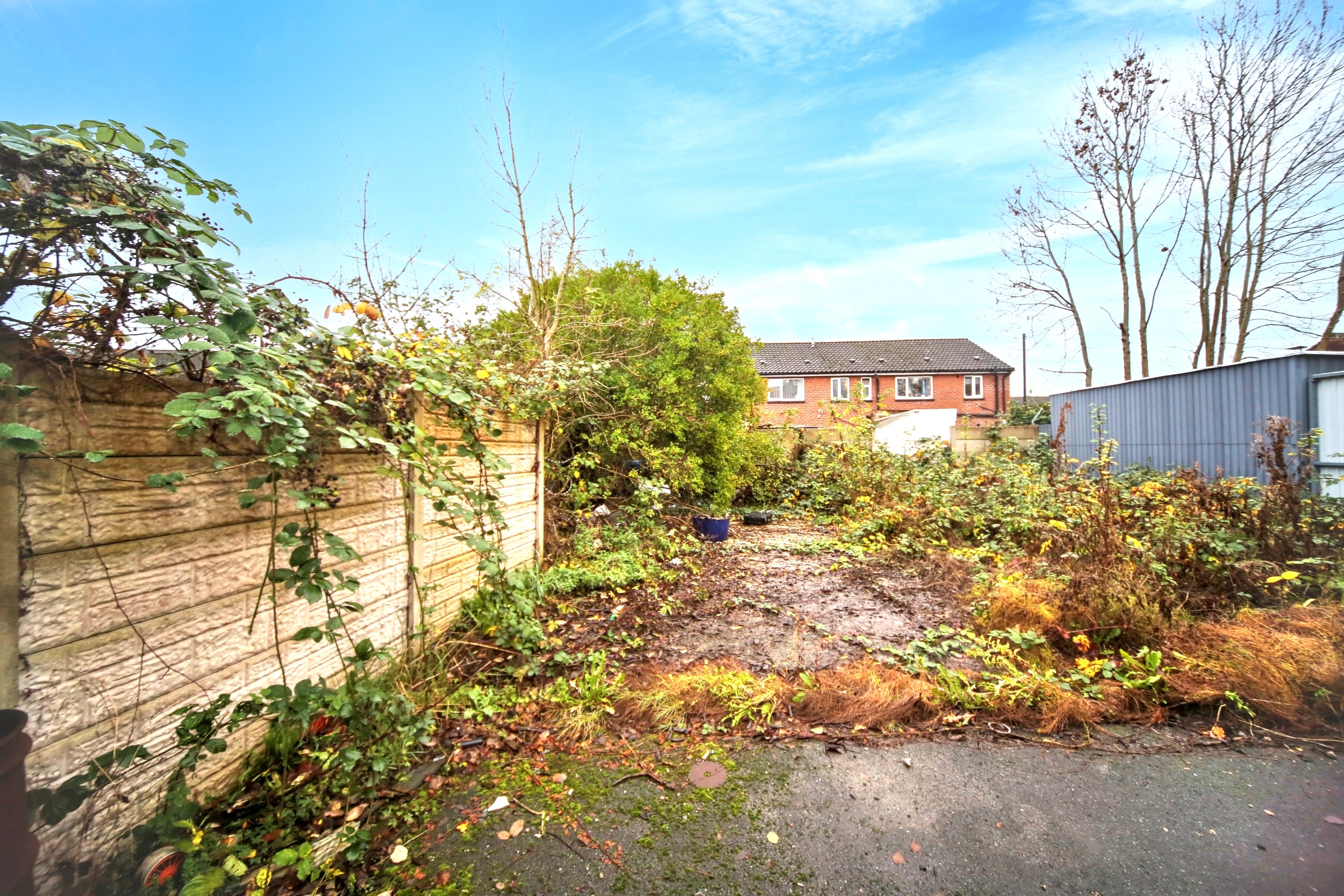 Image 10 of 11