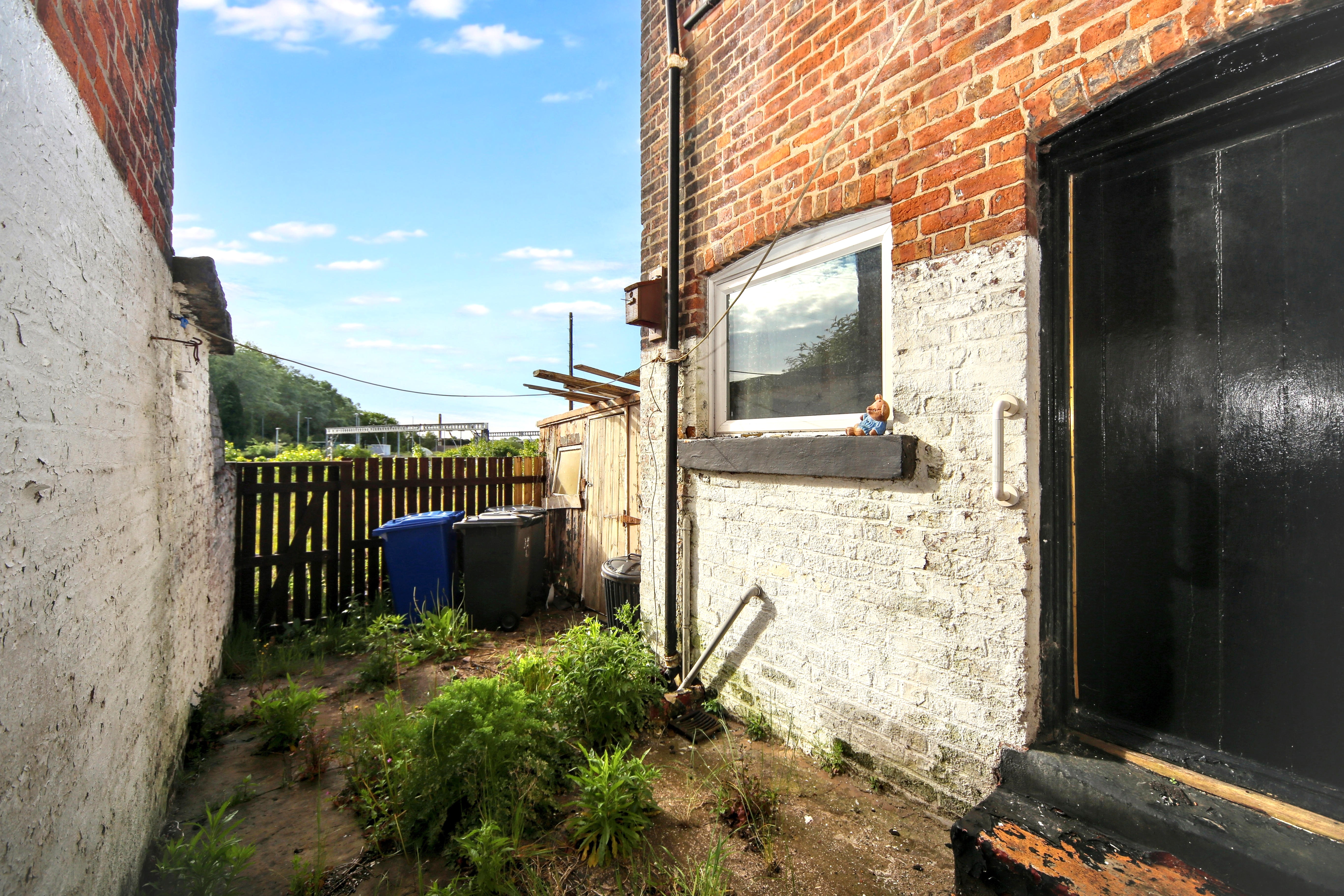 Image 19 of 21