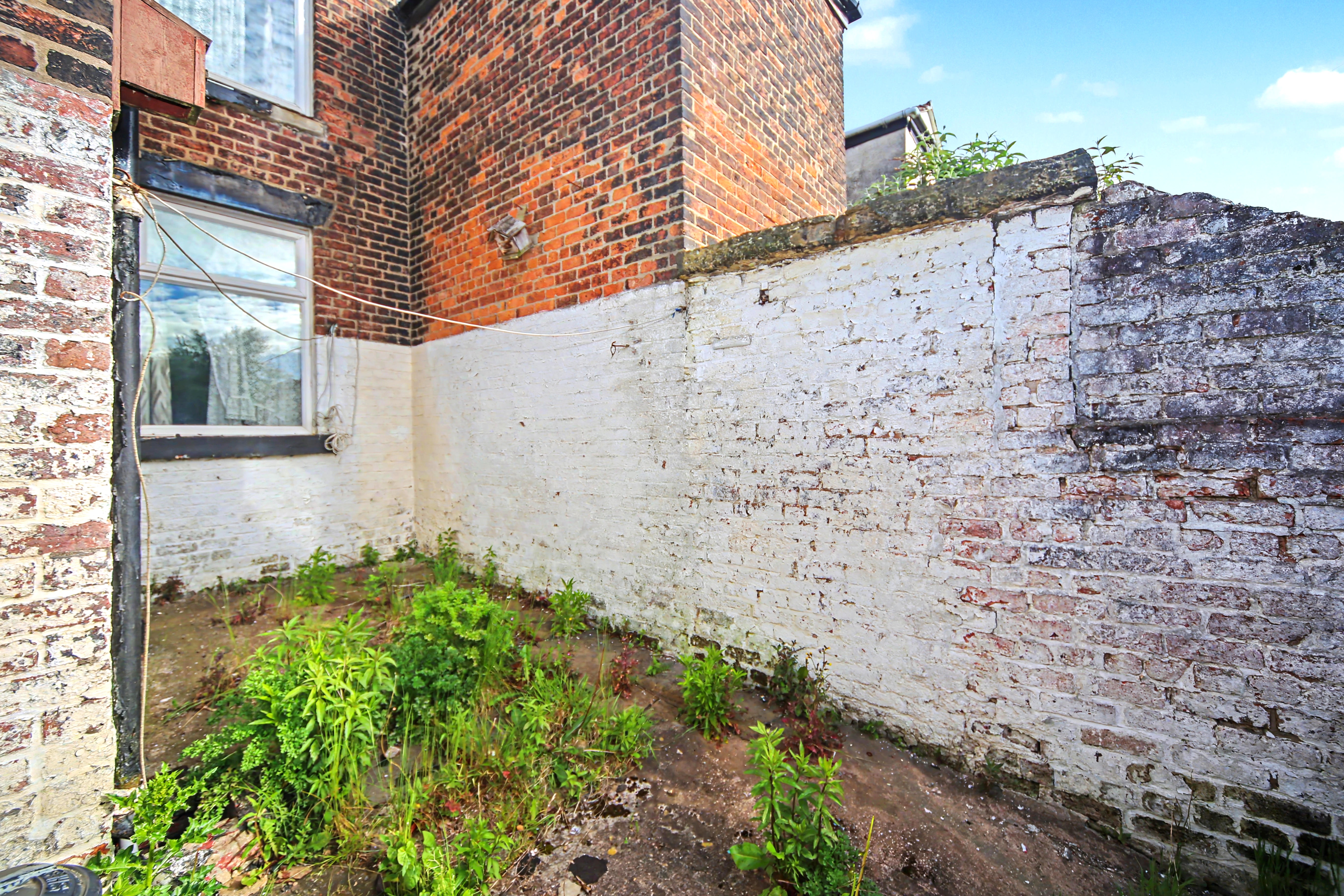 Image 20 of 21