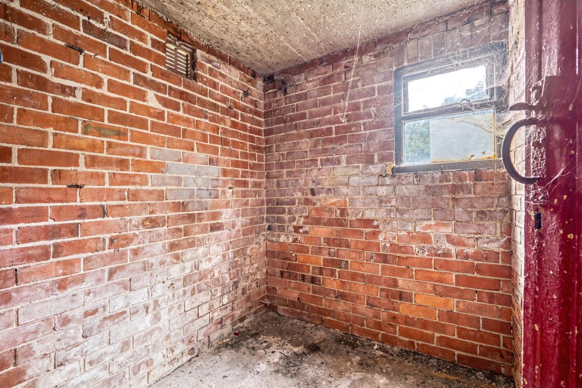 Image 15 of 20
