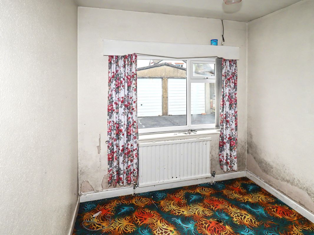 Image 7 of 17