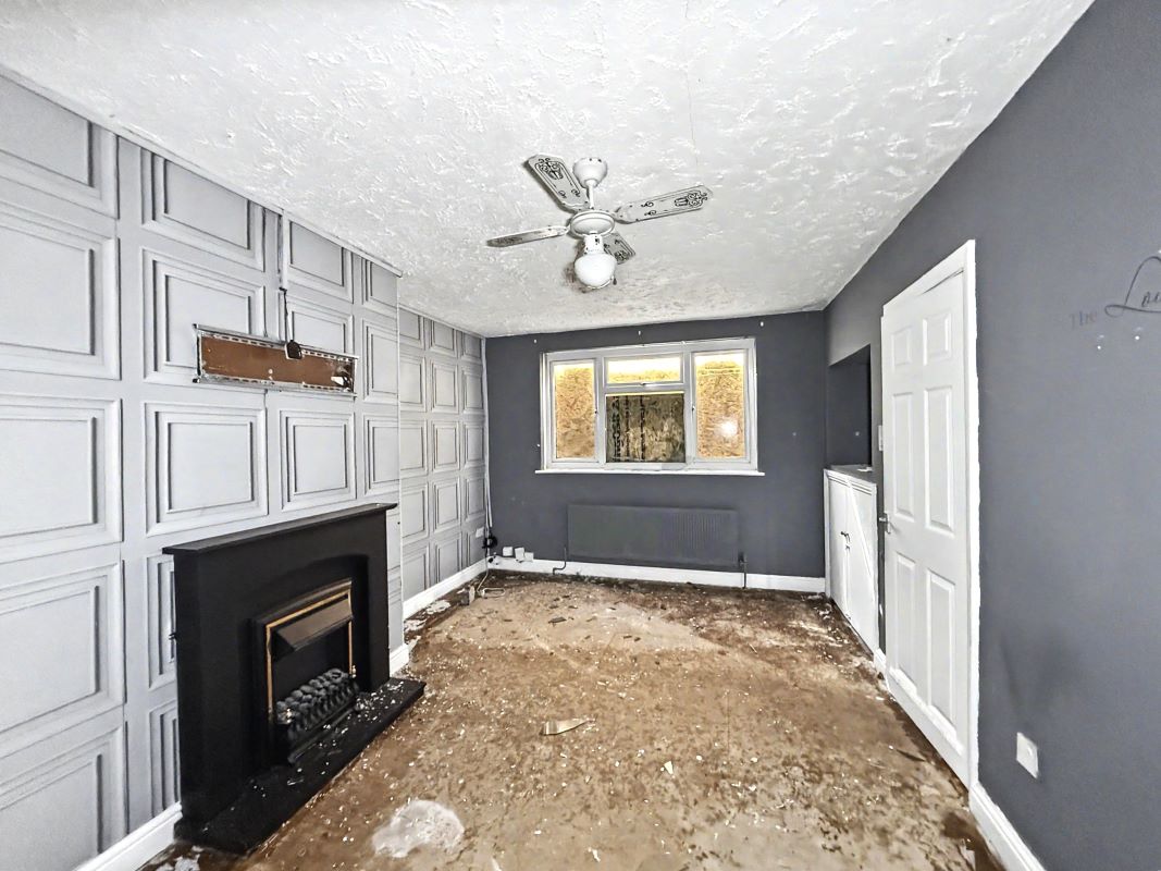 Image 2 of 16