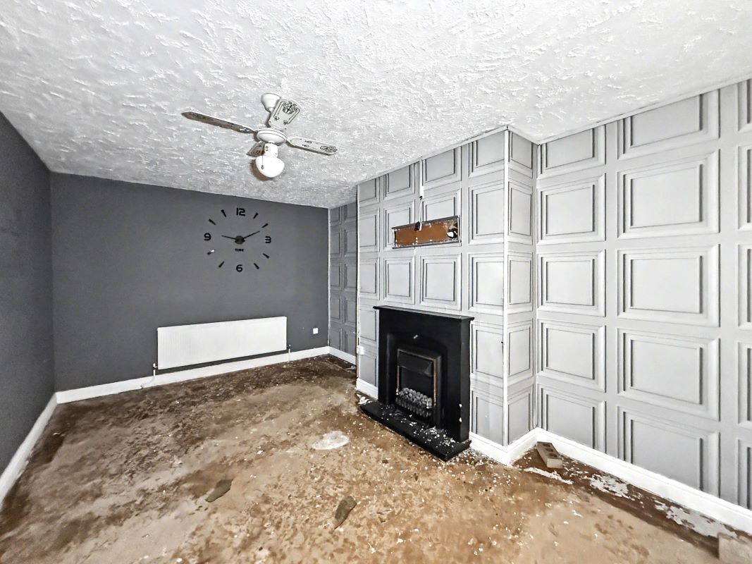Image 3 of 16
