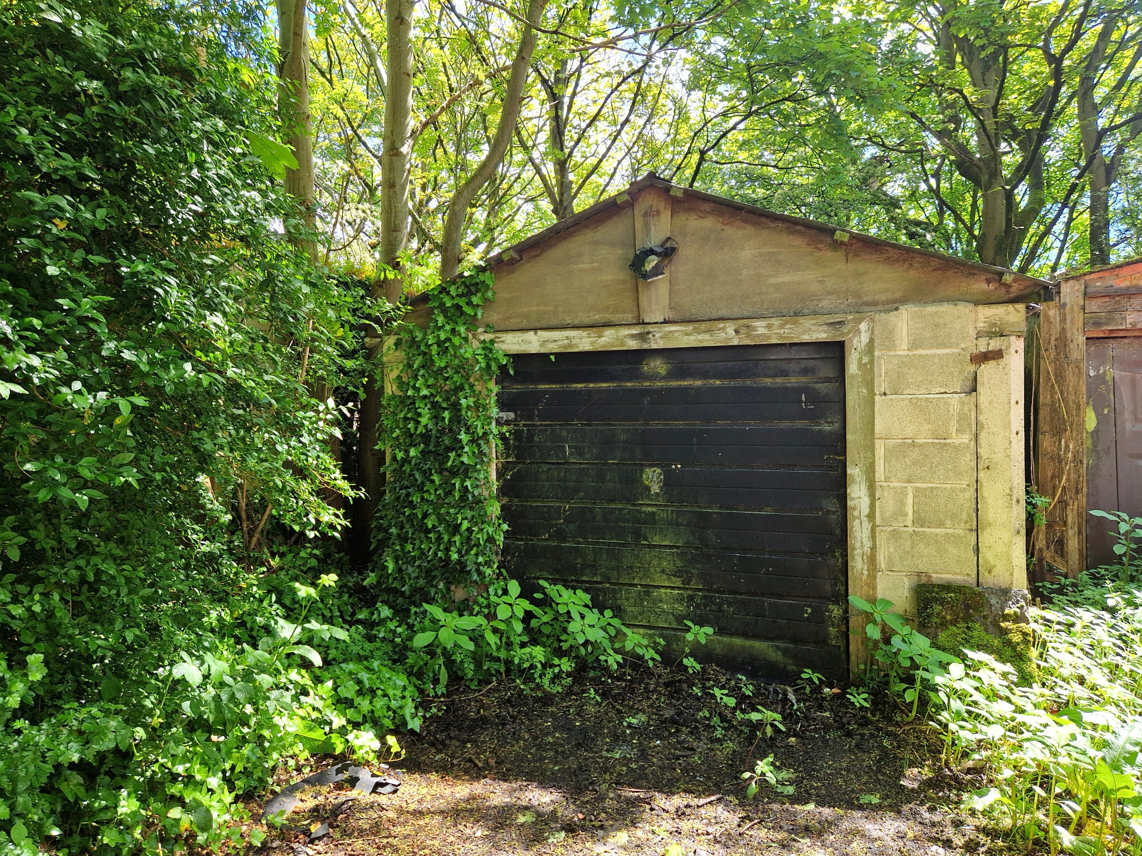 Lot Image