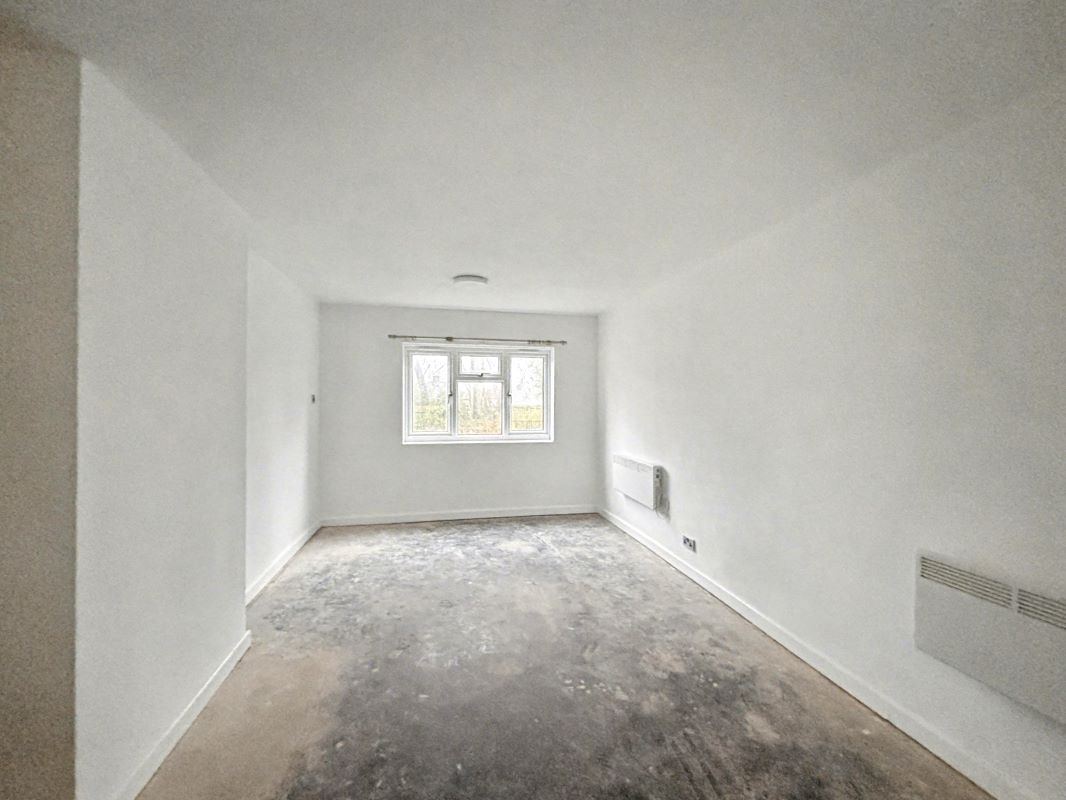 Image 4 of 15