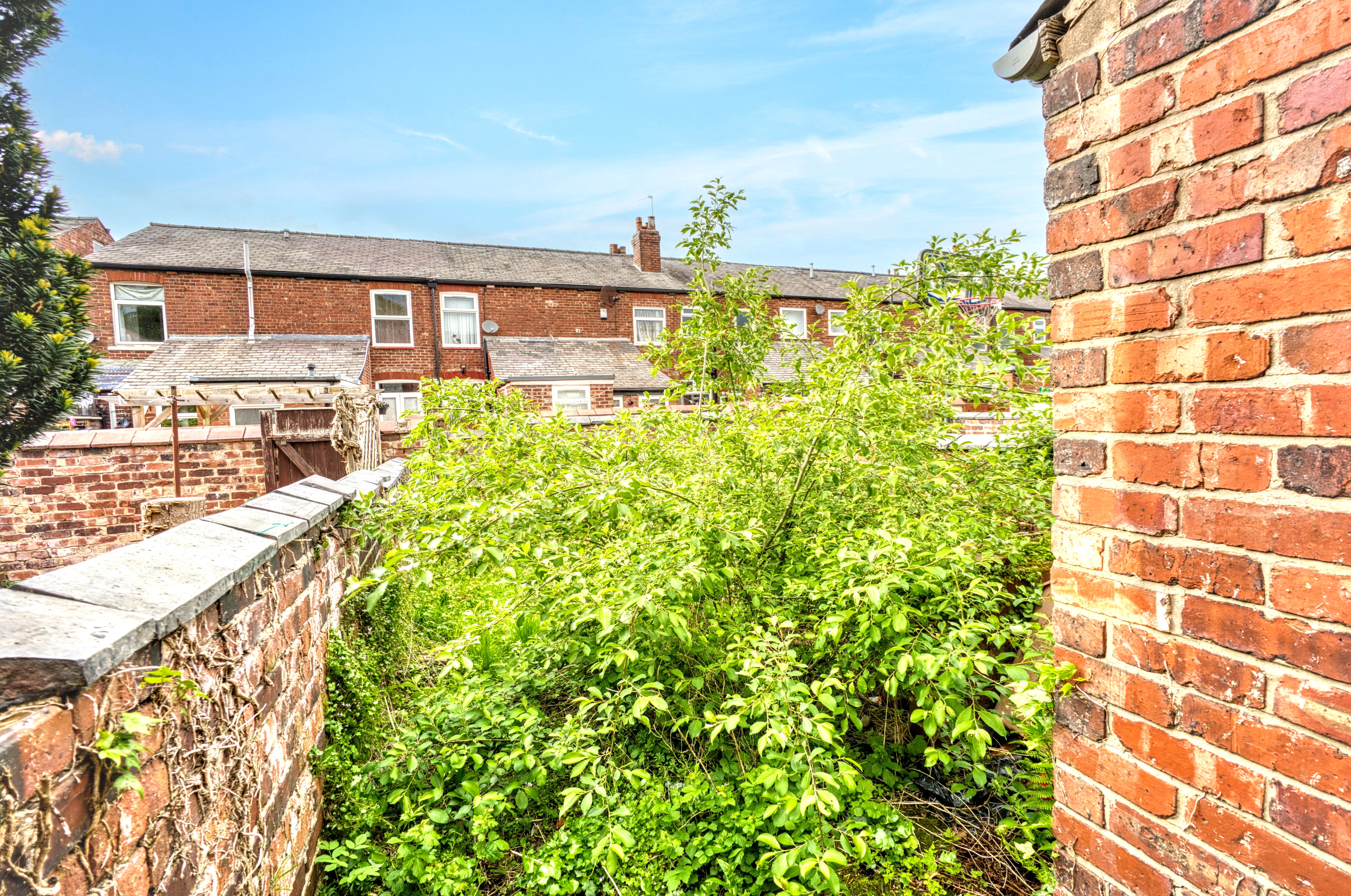 Image 13 of 15