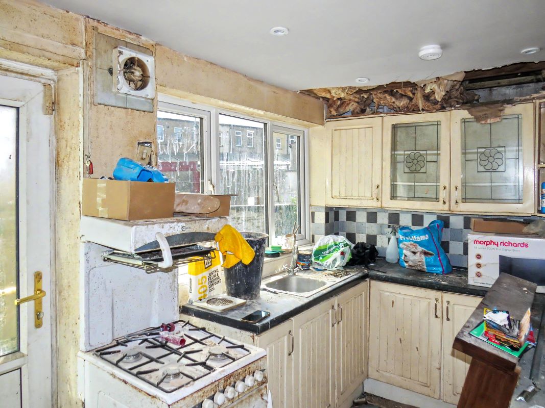 Image 7 of 17