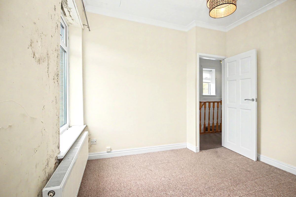 Image 7 of 13