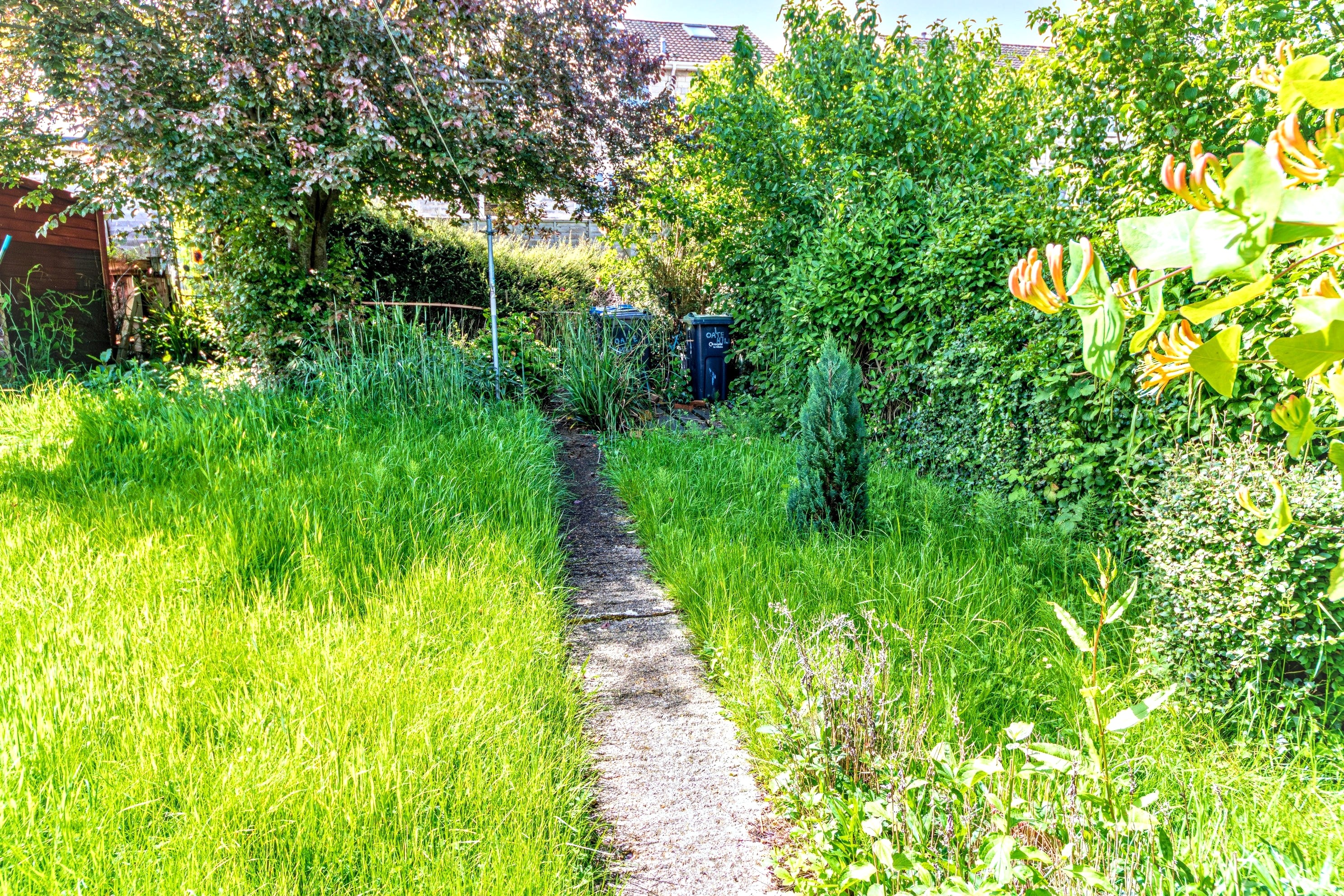 Image 12 of 14