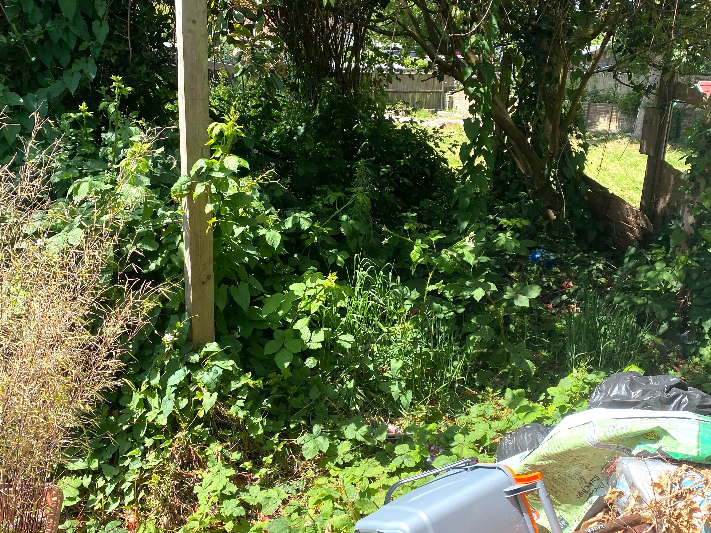 Image 7 of 7