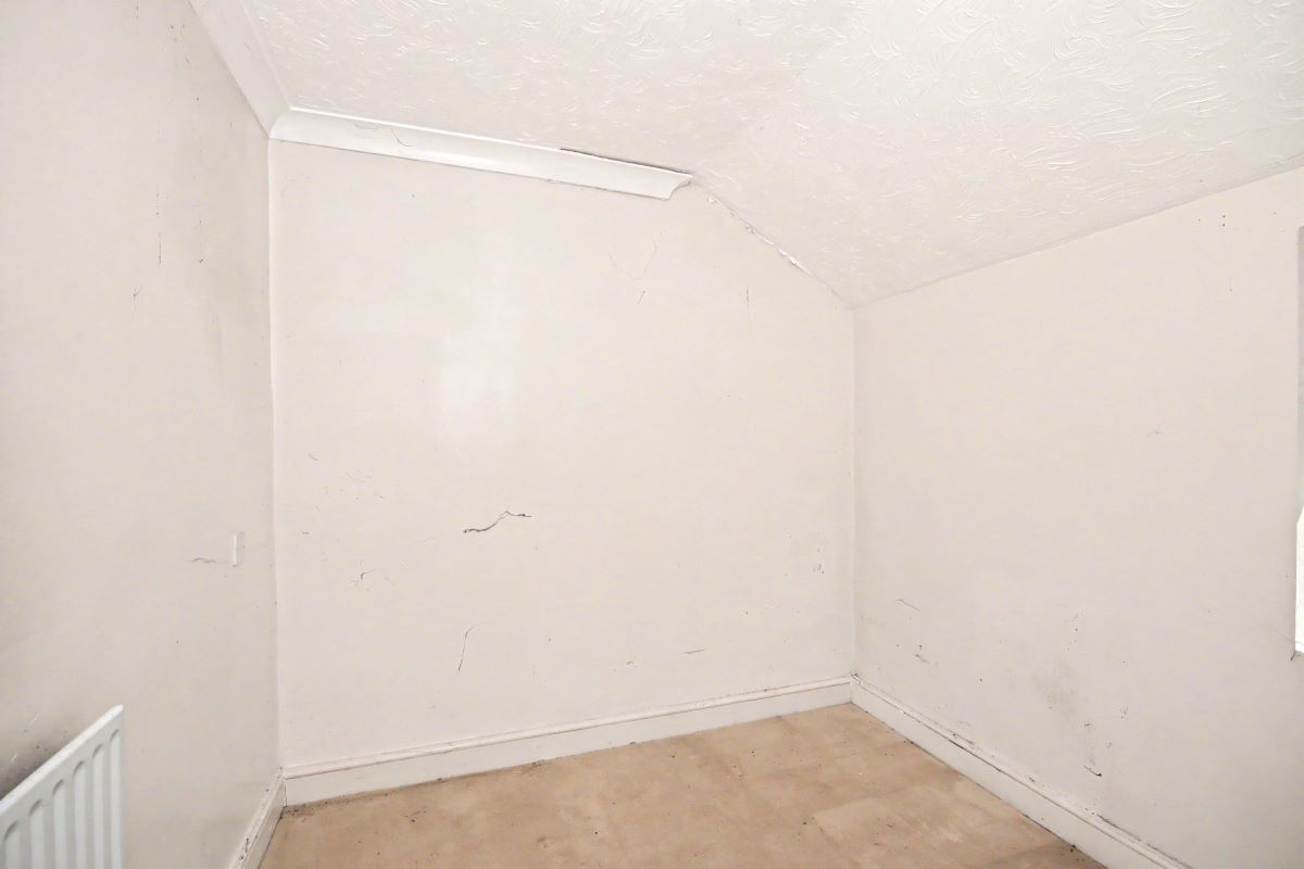 Image 12 of 17