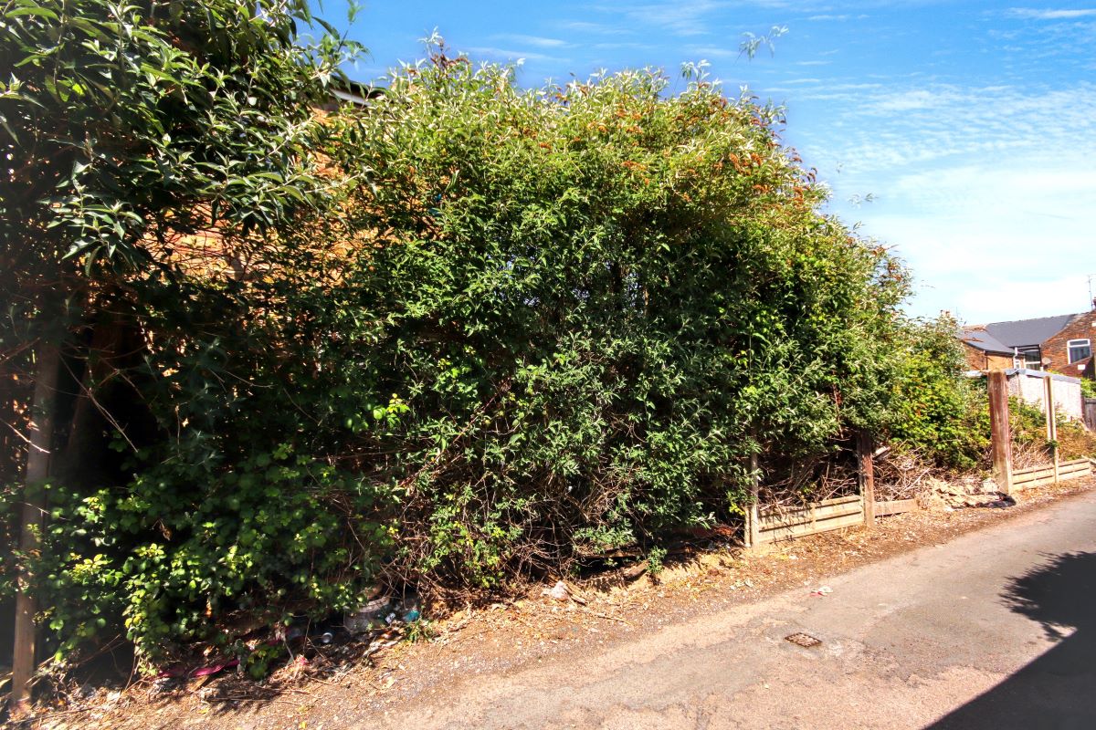 Image 16 of 17