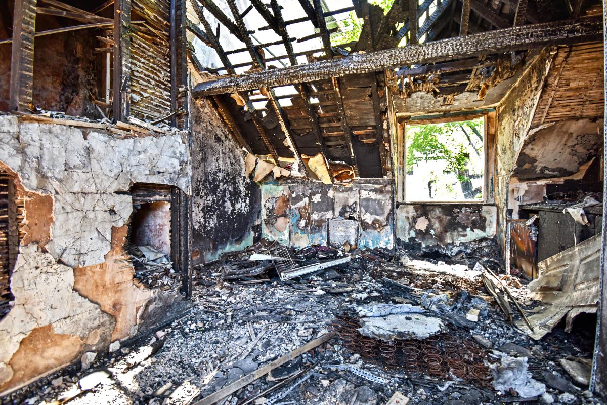 Image 11 of 16