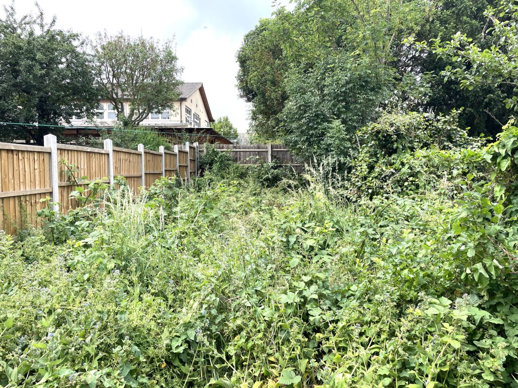 Image 12 of 12