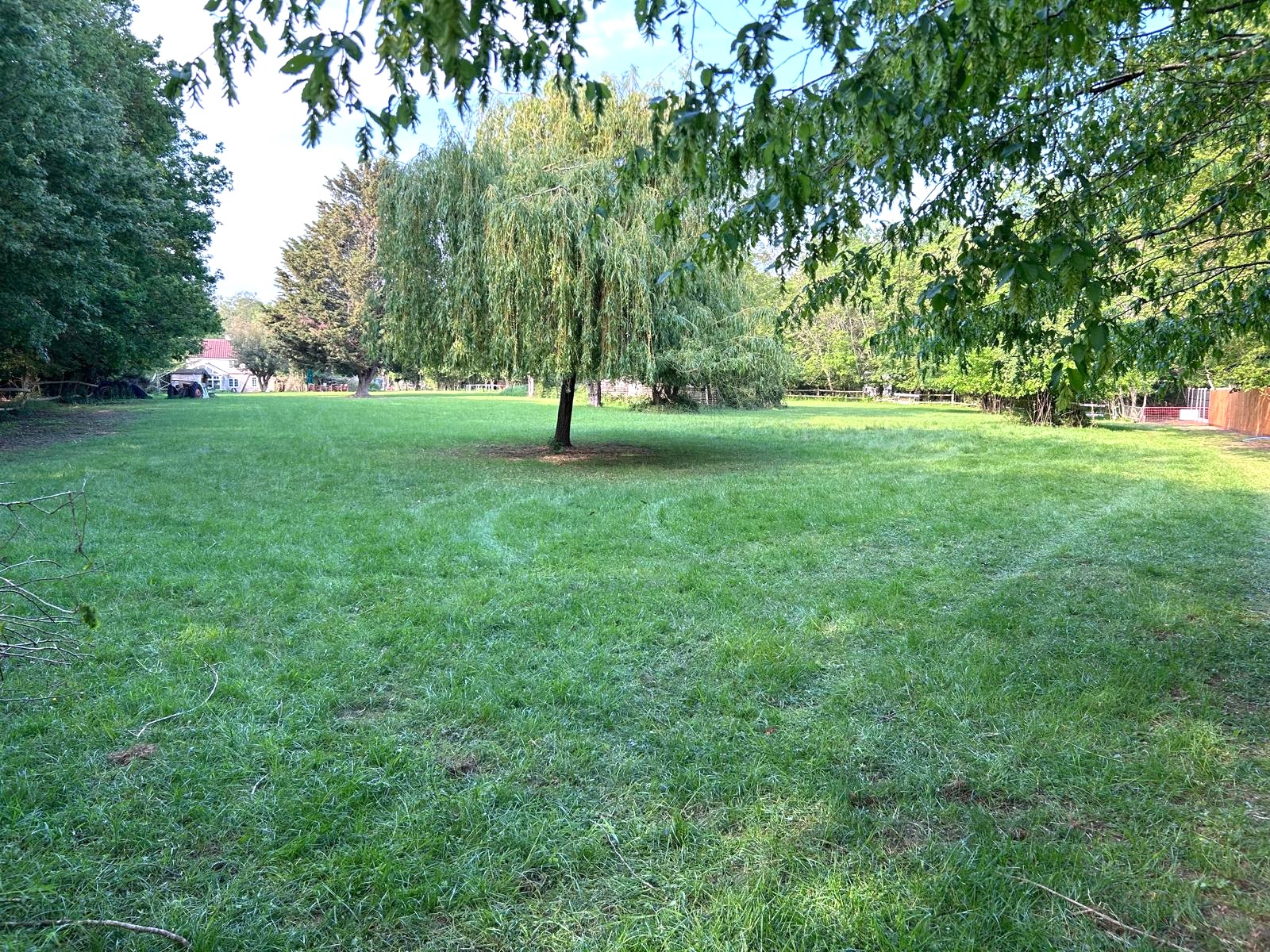 Image 2 of 7