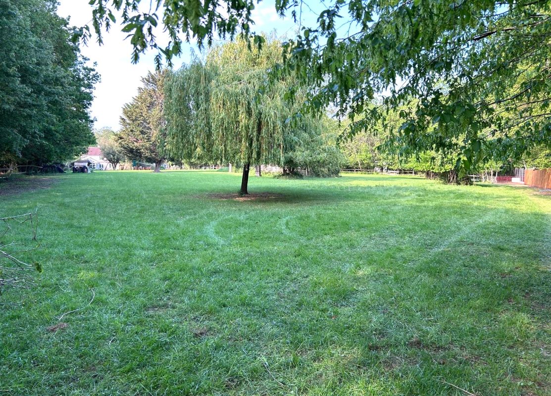 Image 2 of 7