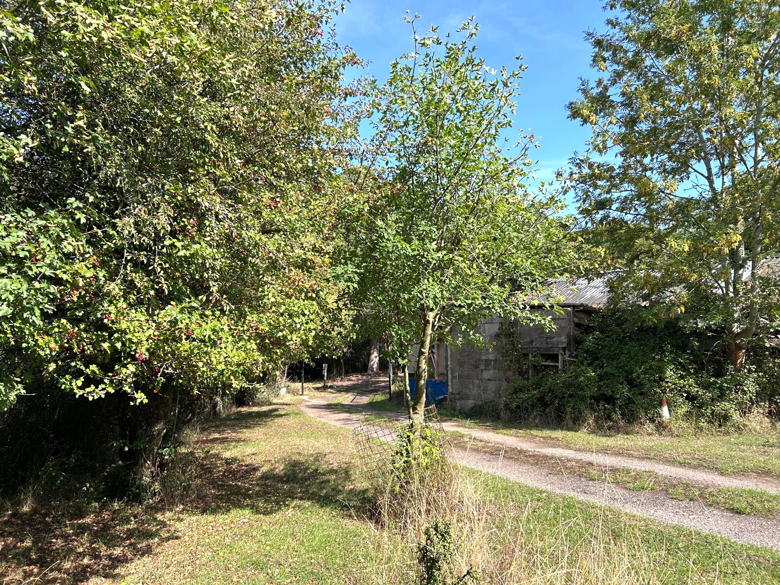 Image 4 of 7