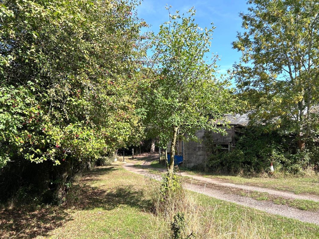 Image 4 of 7