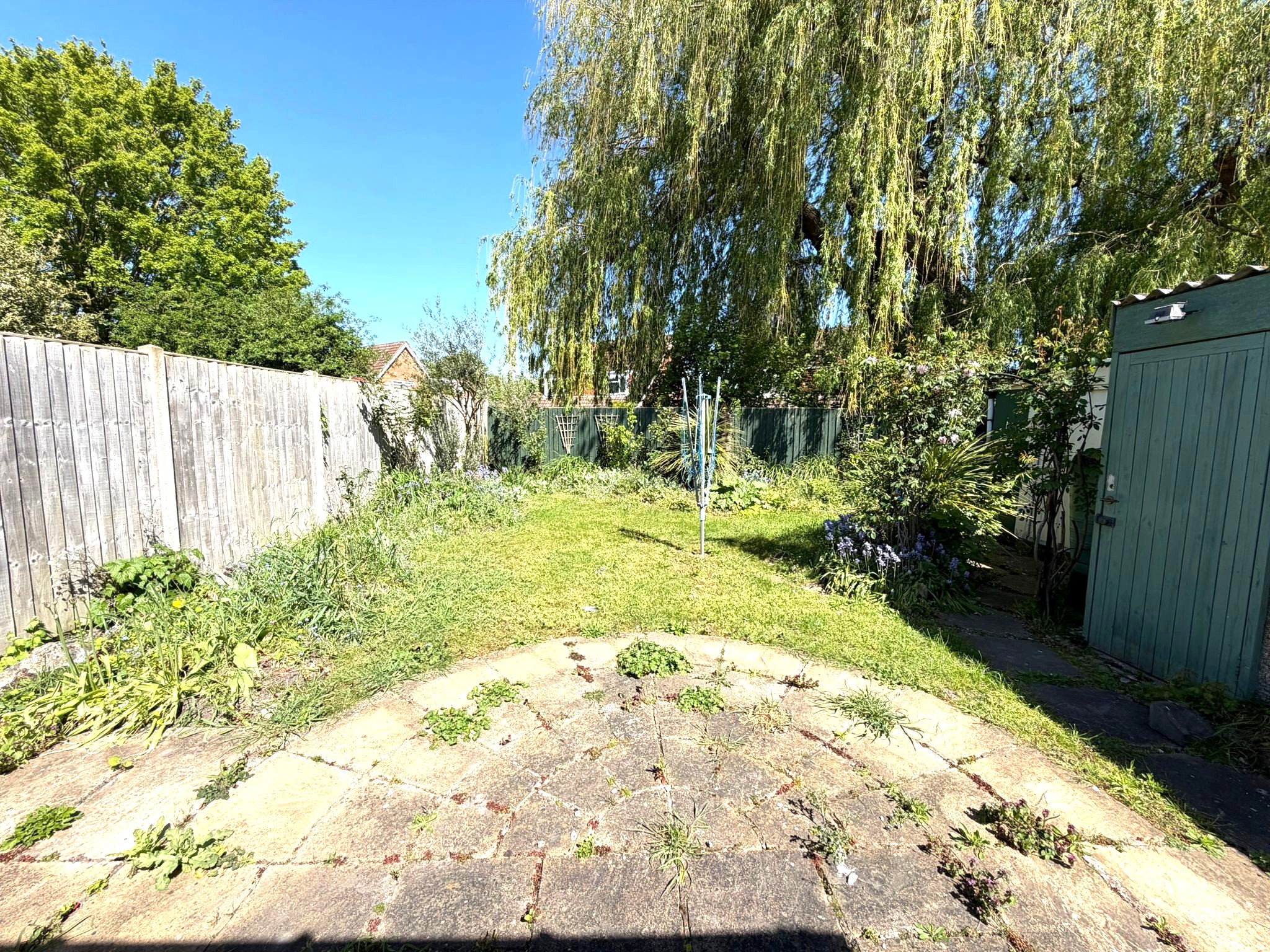 Image 13 of 15